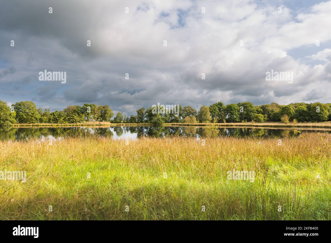 Landscape with a fen and reflection of trees and shore plants in the water on the Kampsheide between Assen and Balloo in the Dutch province of Drenthe Stock Photo