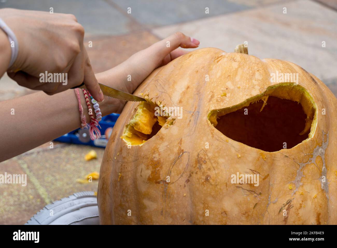 hands of old male farmer raises above his head large pumpkin on garden