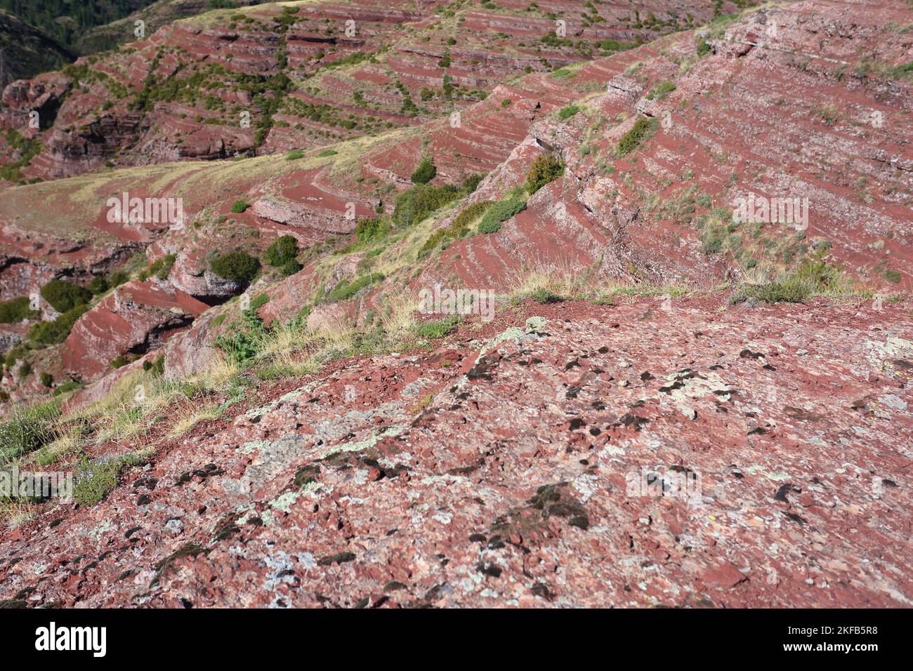 Gorges de Daluis, Alpes Maritimes, 06, Parc national du Mercantour, PACA Stock Photo