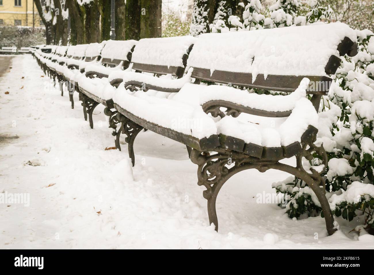 City park covered with snow. Wooden benches in the city park covered ...