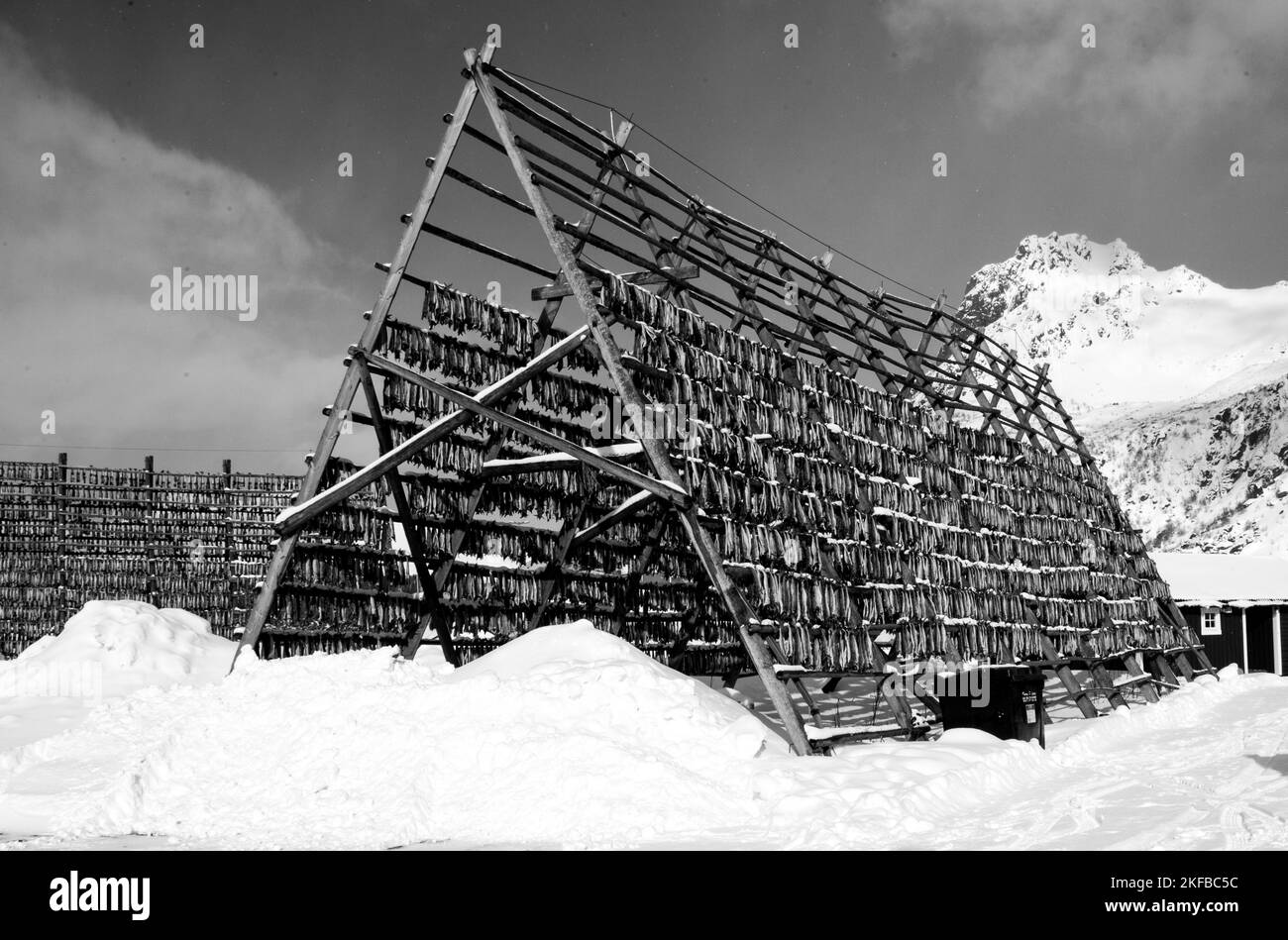 Medieval Fish Drying Rack A greyscale shot of a fish drying rack with snow on the ground Stock ...