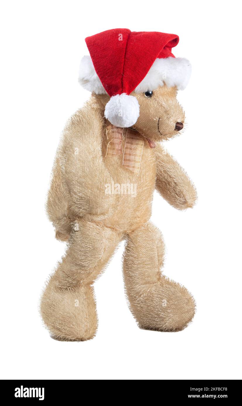 teddy bear walking isolated on white background Stock Photo