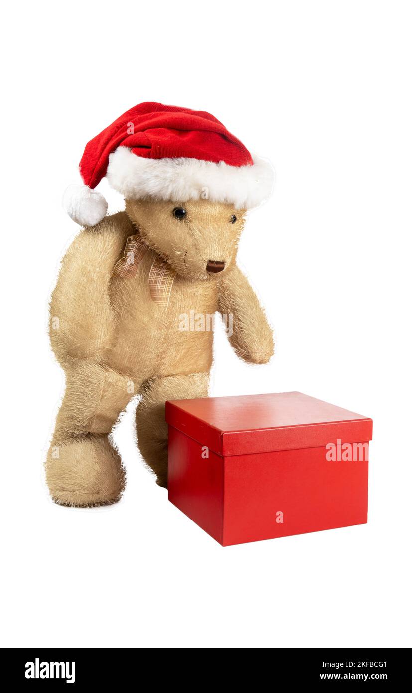 teddy bear standing next to a gift package isolated on white background Stock Photo