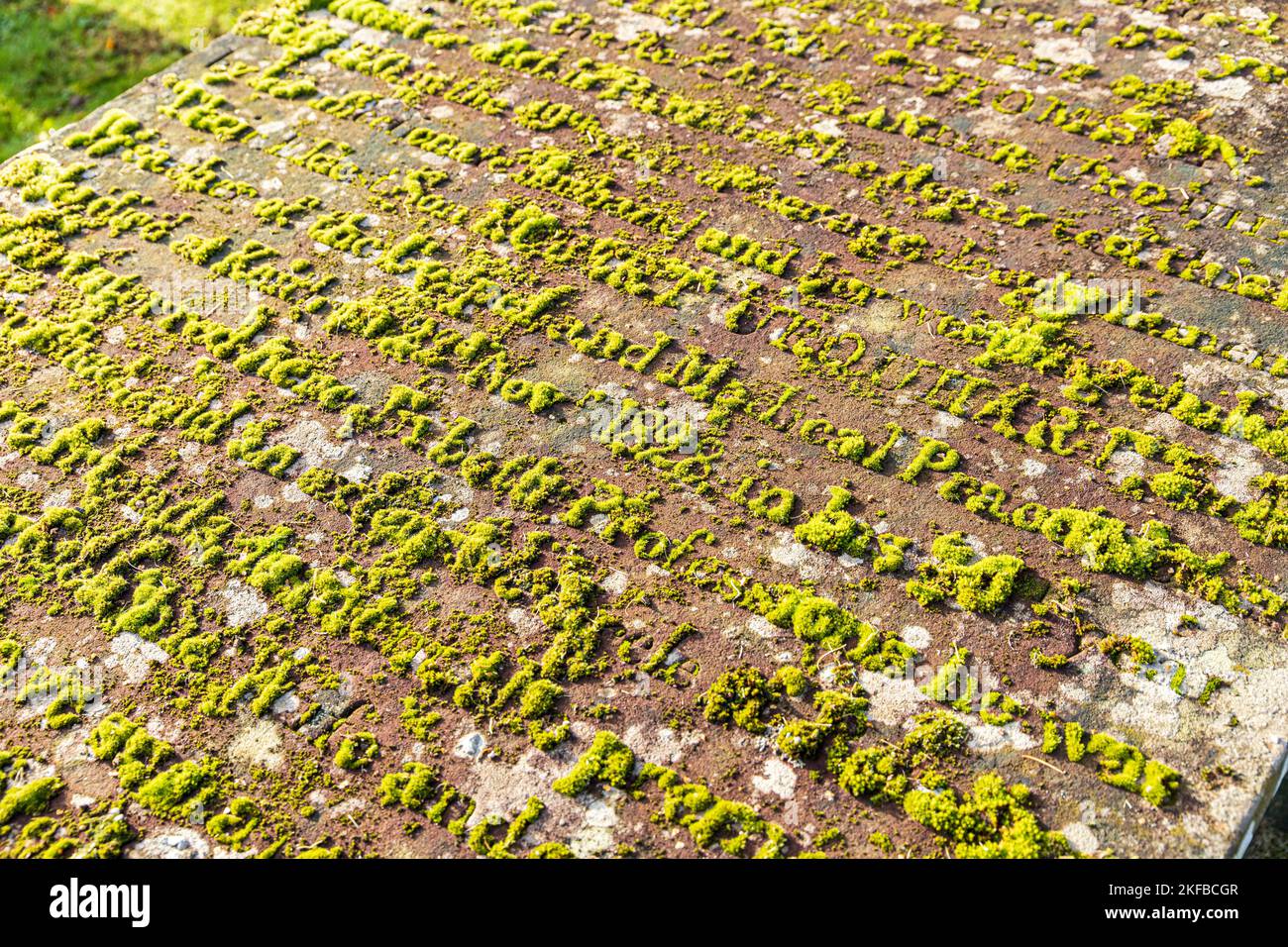 Moss growing on the incised lettering of a 19th grave in the village churchyard at Tough (Kirkton of Tough) near Alford in the Marr area of Aberdeensh Stock Photo