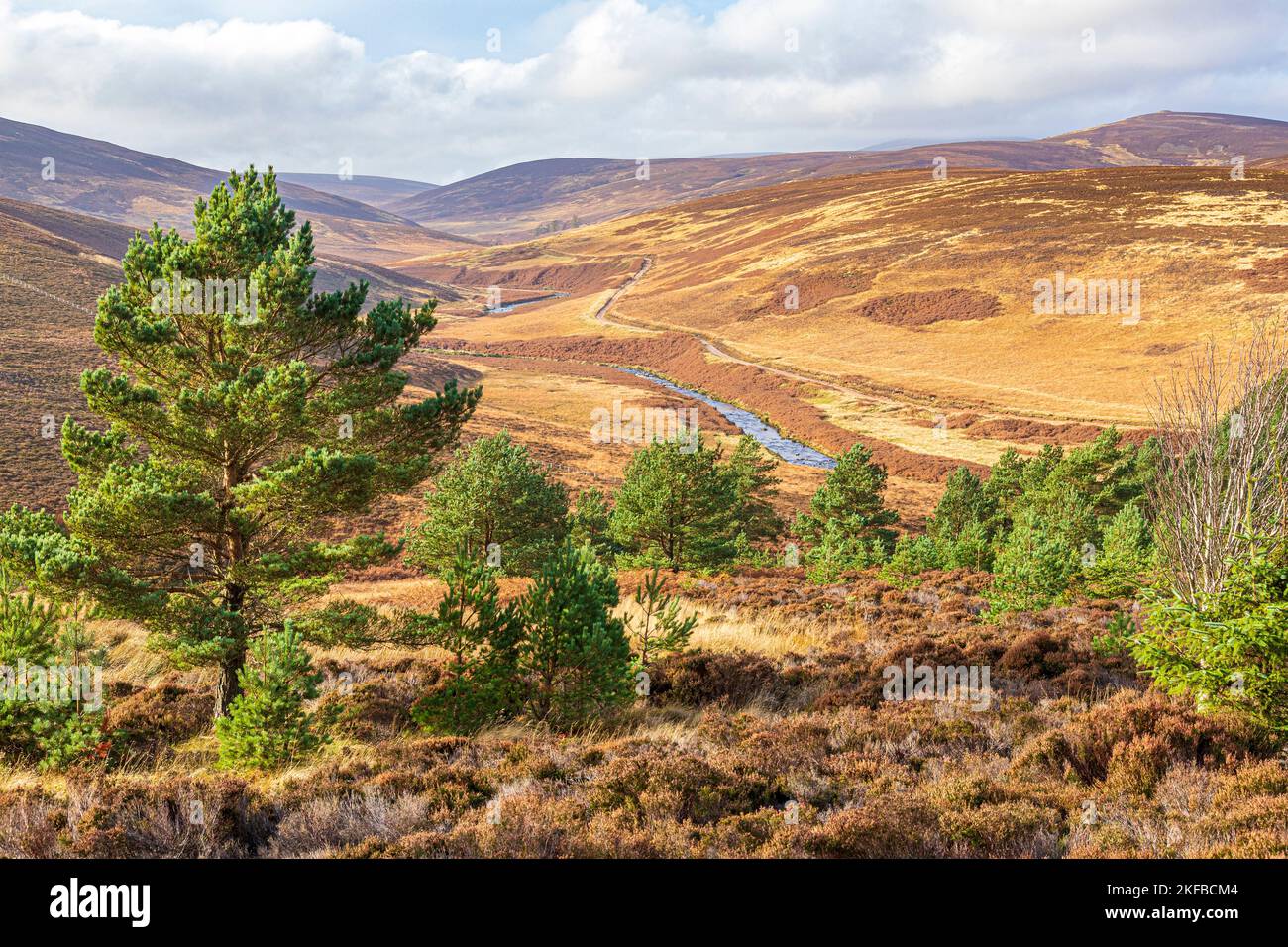 Glen Dye from the Old Military Road south of Bridge of Dye, Aberdeenshire, Scotland UK Stock Photo