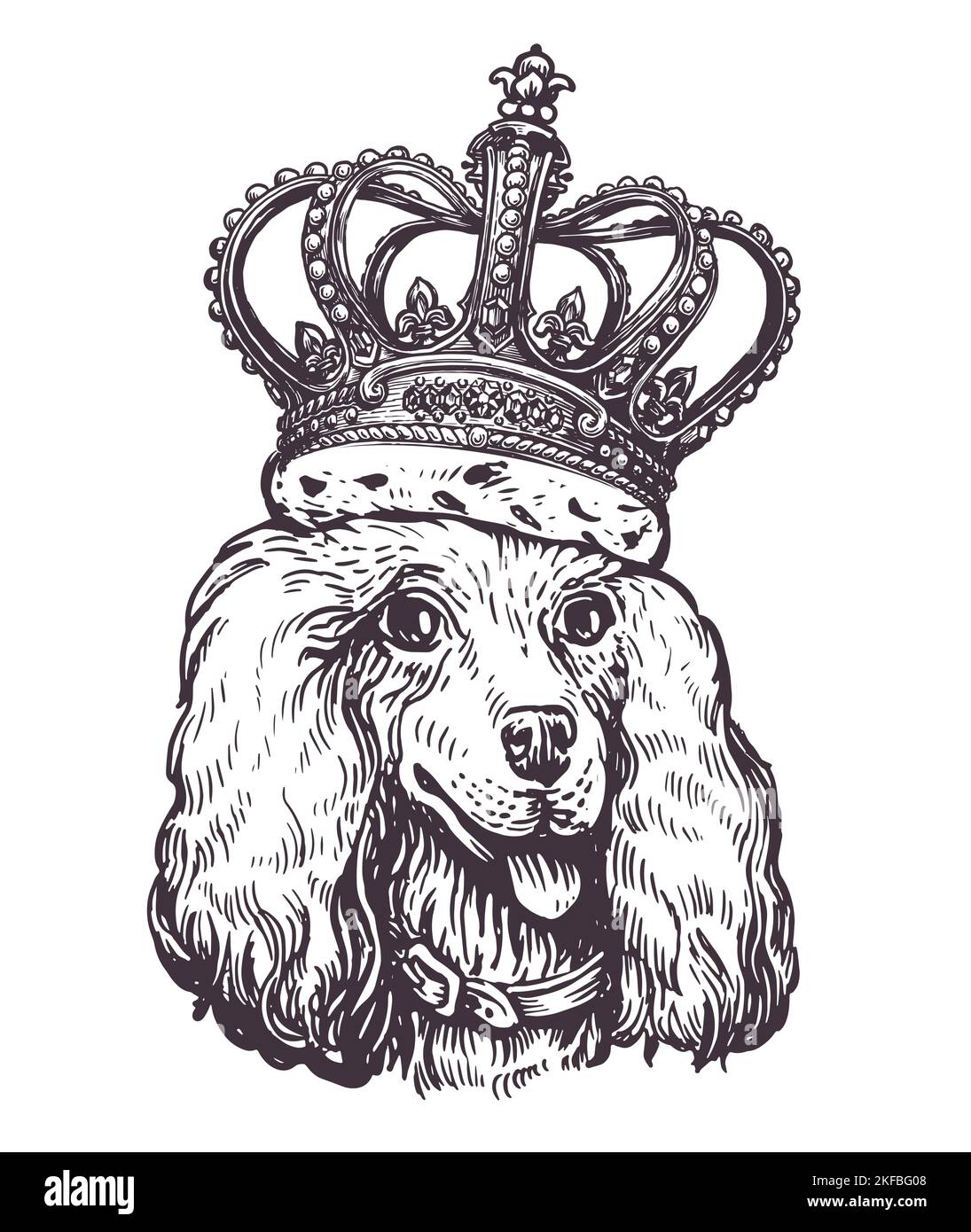 Portrait of cute Dog poodle with crown on his head. Pet animal, puppy head sketch. Vintage vector illustration Stock Vector