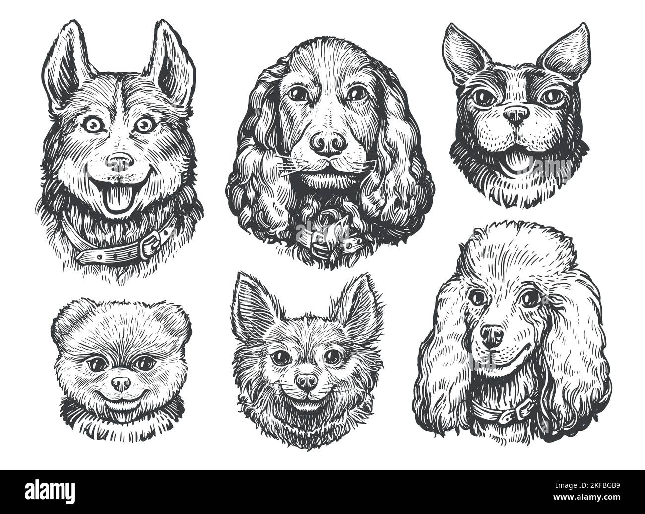 Set heads of dogs and puppies. Collection of dog breeds. Pet portraits, animals sketch vintage vector illustration Stock Vector