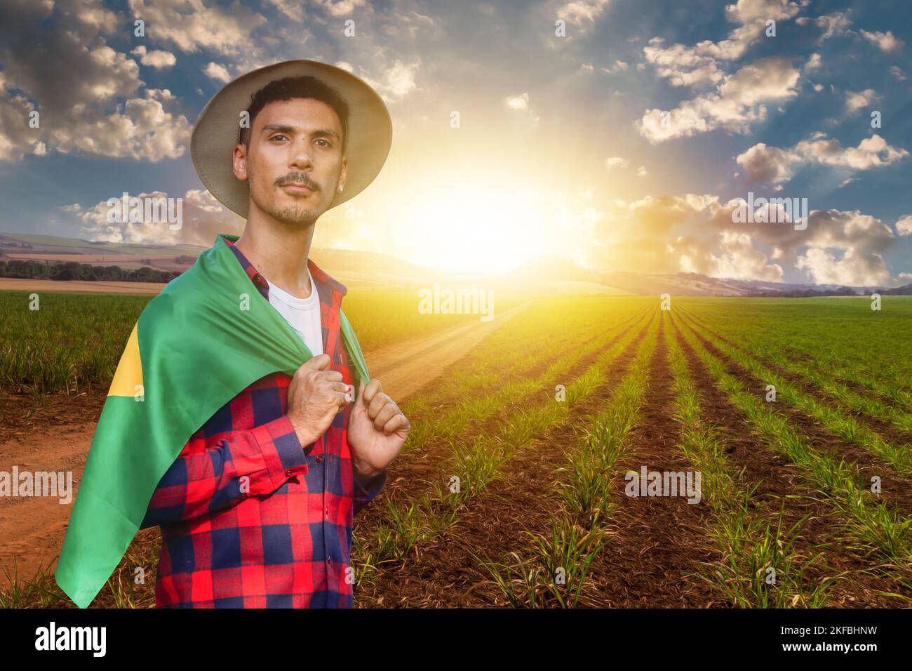 agriculture in brazil essay