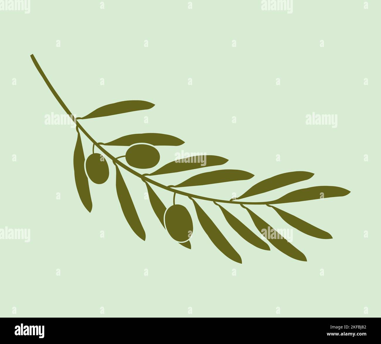 Olive tree olea europaea leaves Stock Vector Images - Alamy