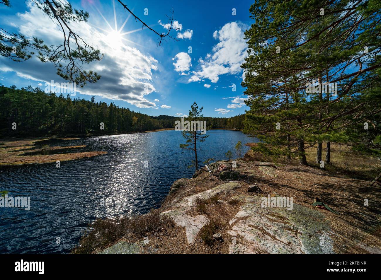 The scenic Lake Ladoga against the forest background on a sunny day ...