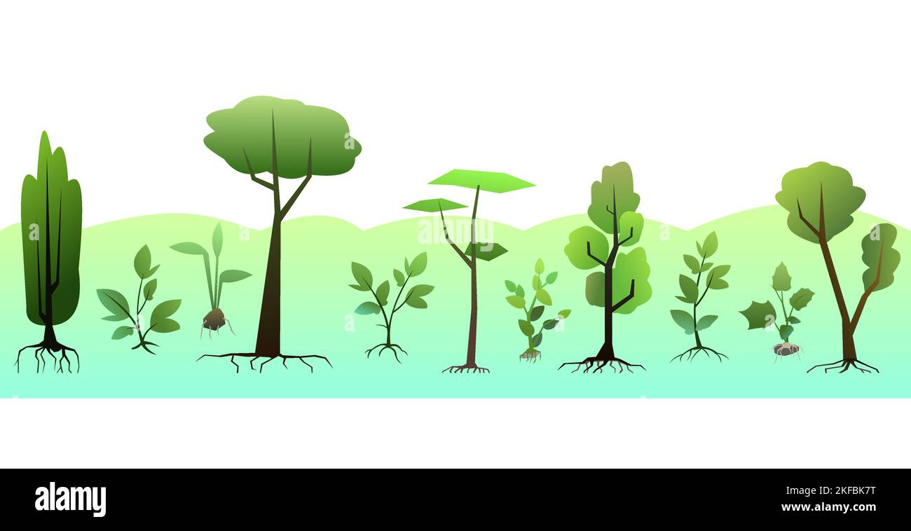 Seedlings of young trees with roots. Garden plants. Fruit plantings. Isolated on white background. Bottom horizontal composition border. Vector Stock Vector