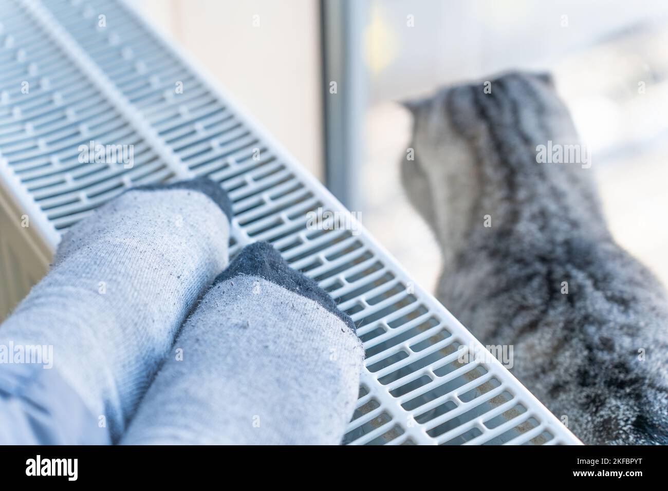 A woman warms her feet on the Heater, a cat sits next to her and looks out the window. Stock Photo