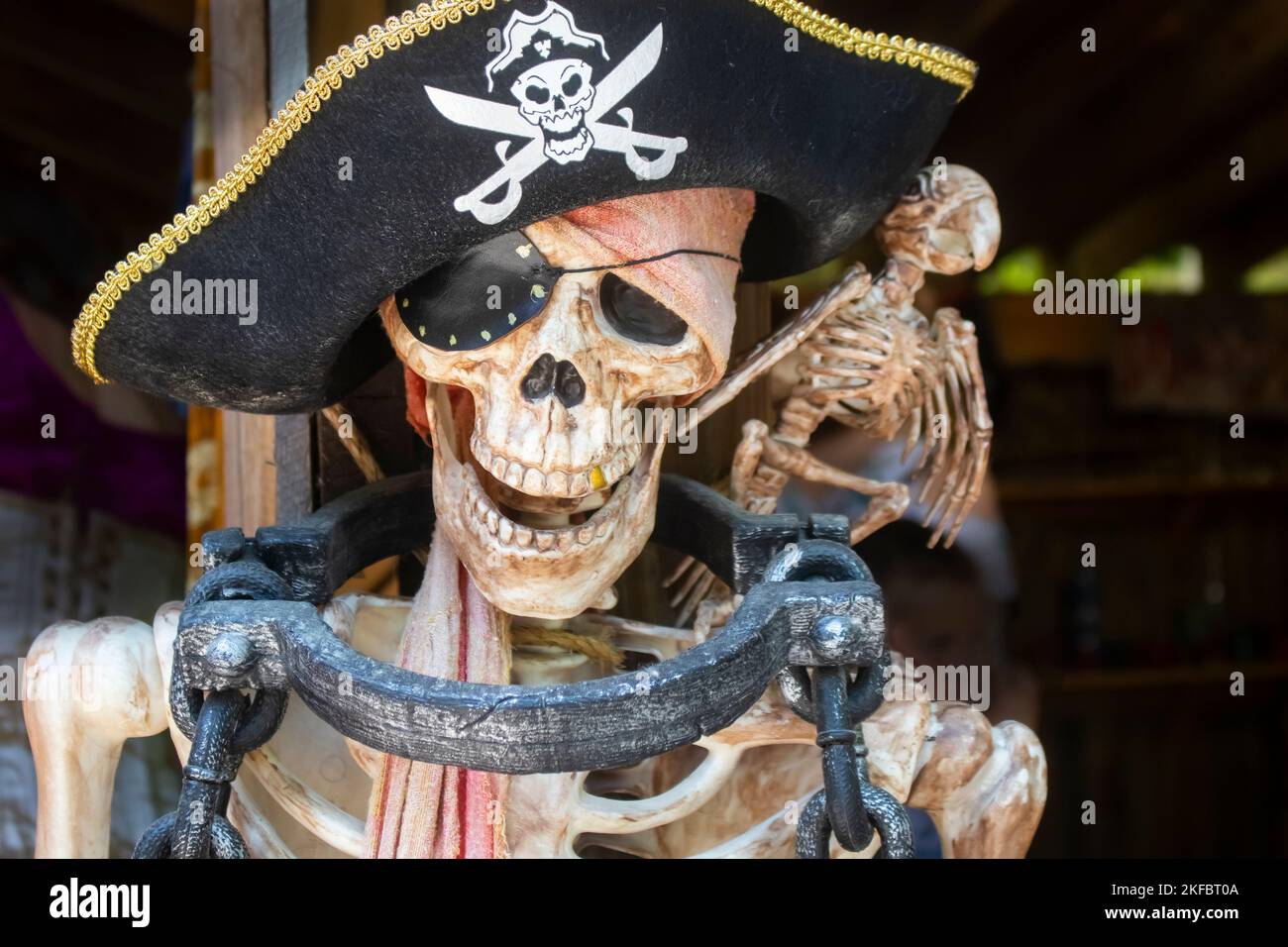 Pirate skeleton fstened to post with manacle and skeleton bird and golden tooth Stock Photo
