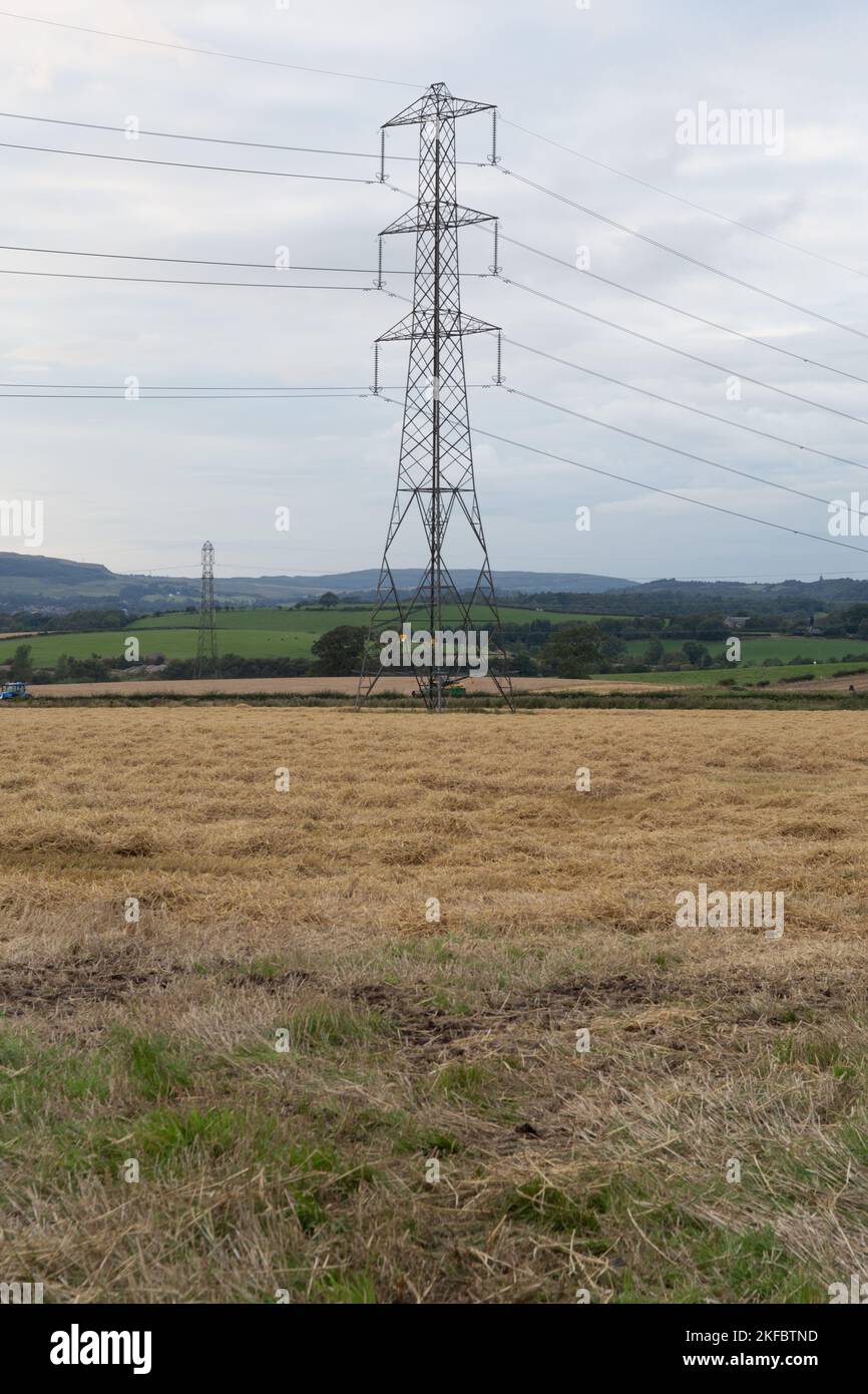 Power Pylons in a farm field Stock Photo