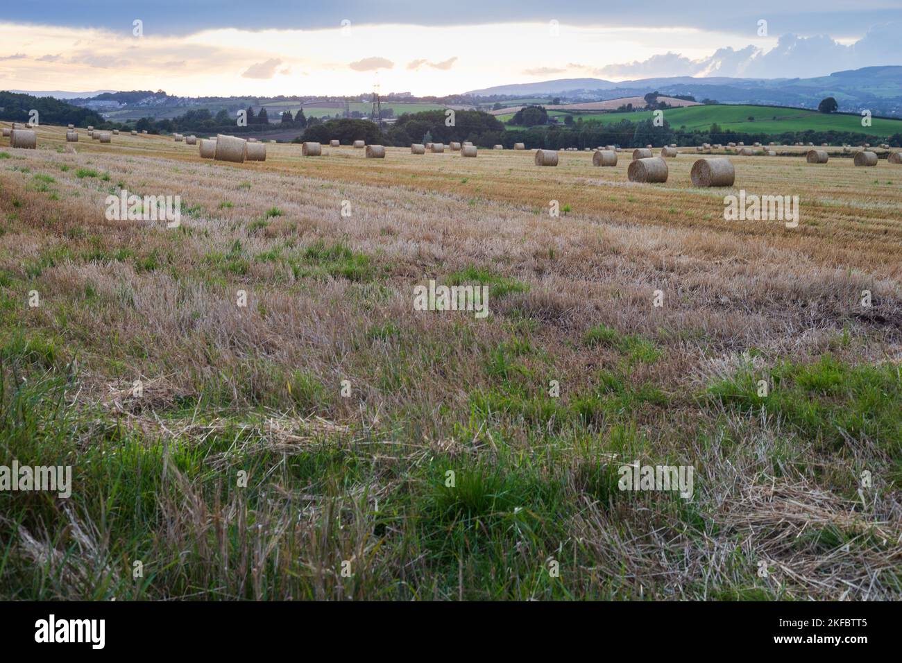 Power Pylons in a farm field Stock Photo
