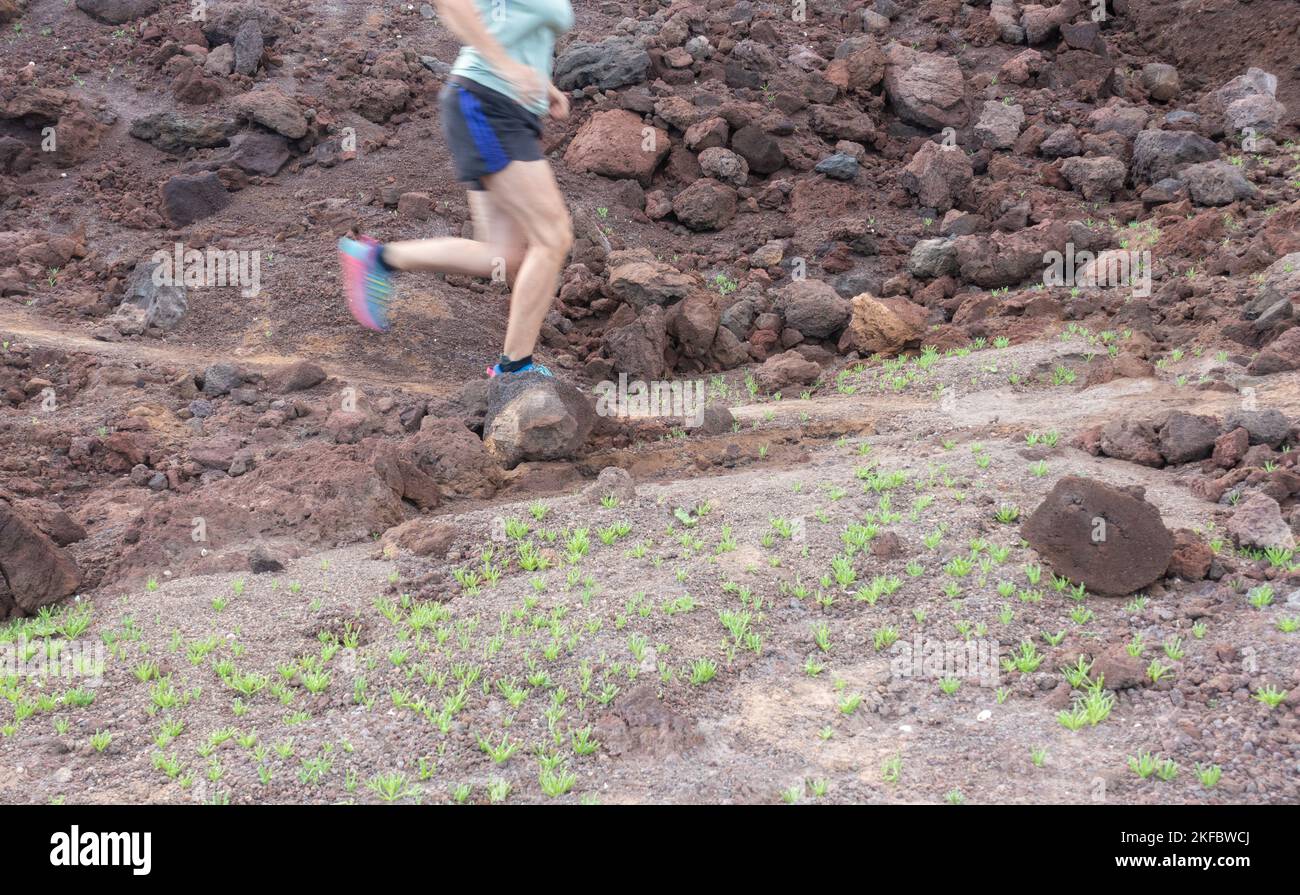 Mature, middle aged female trail runner on mountain trail. Stock Photo