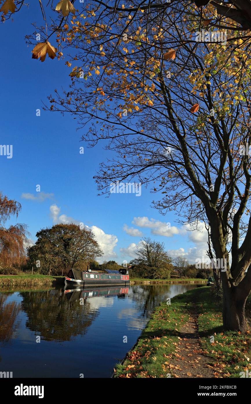 The leaves are turning and falling along the canal at Crabtree Lane, Burscough, where a narrow
