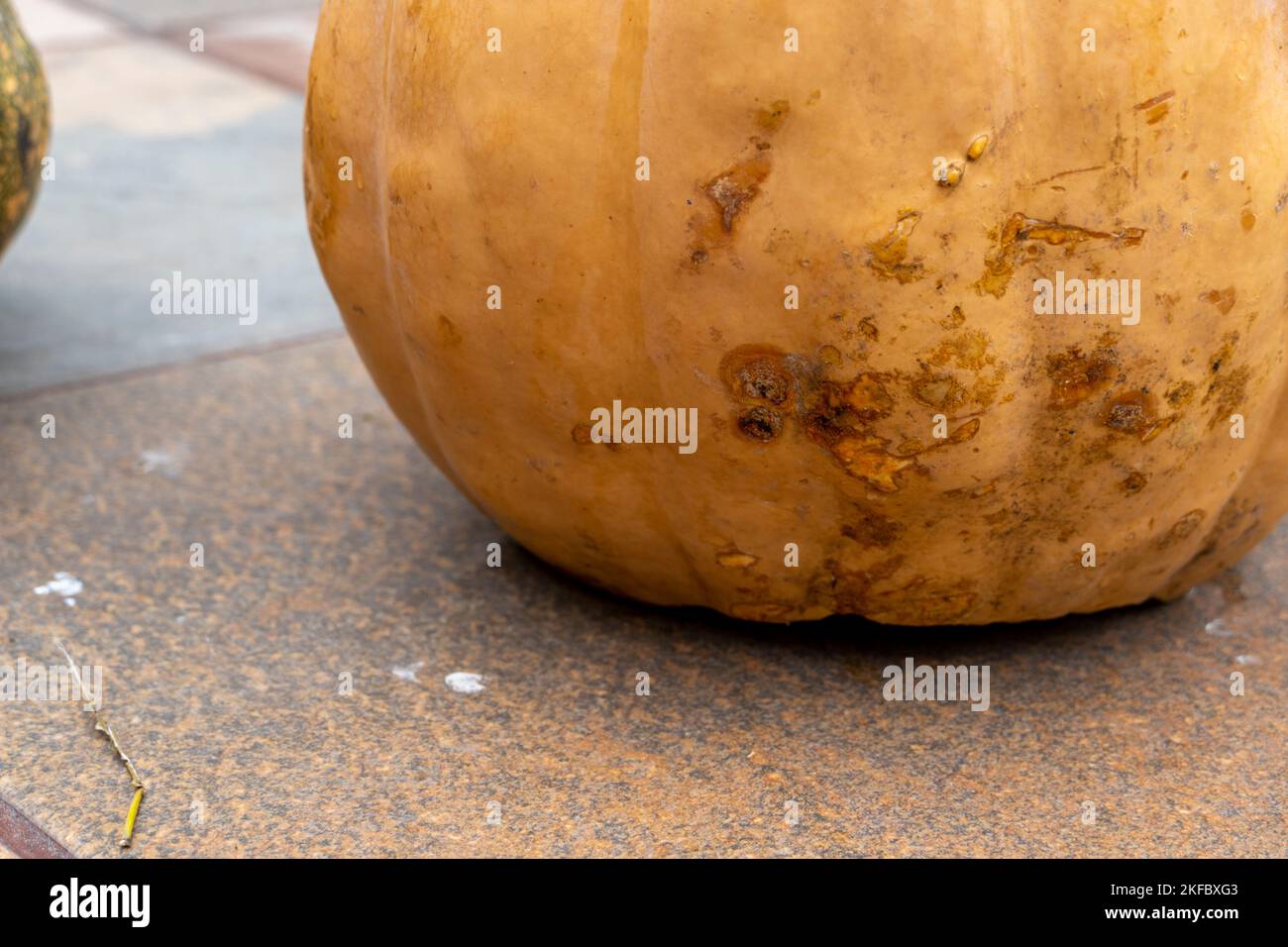 Glowing Halloween Pumpkin isolated on white background Stock Photo - Alamy