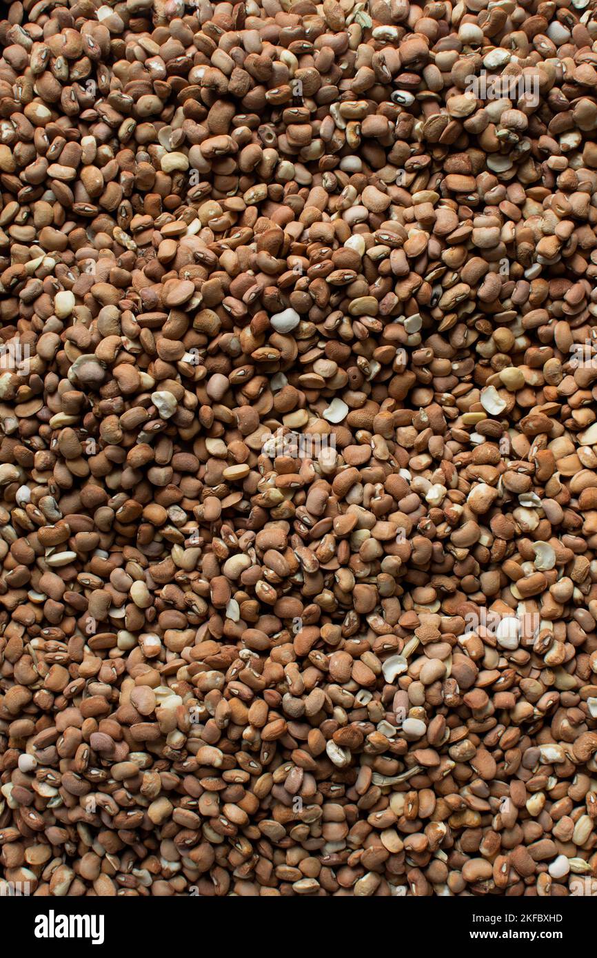 Brown beans, pinto beans, Nigerian oloyin beans, top view of beans Stock Photo Alamy