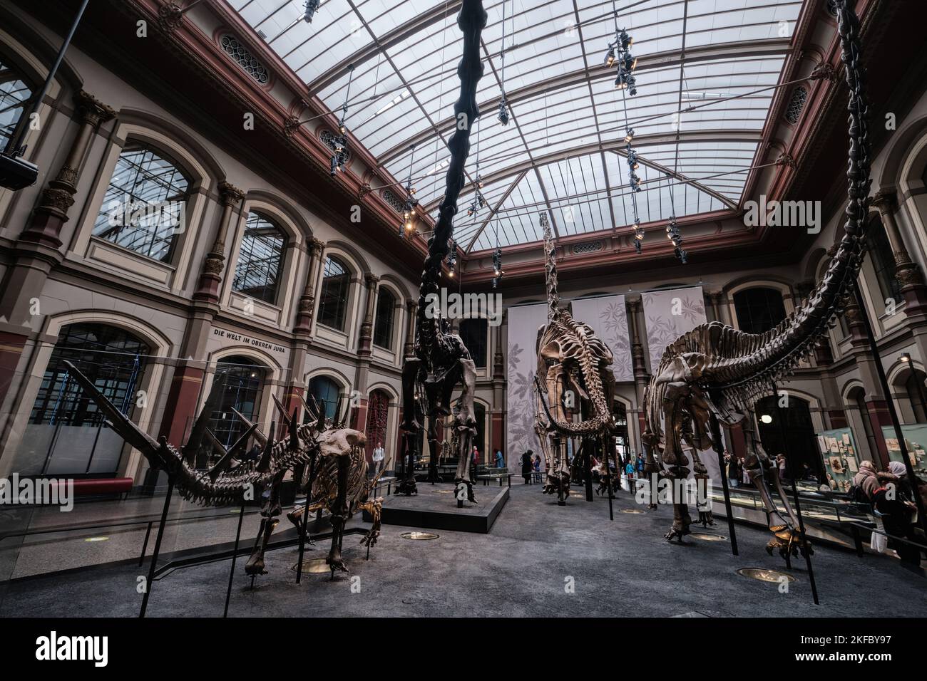 Berlin, Germany Sept 2022 The Dinosaur Hall, Fossil of Giraffatitan