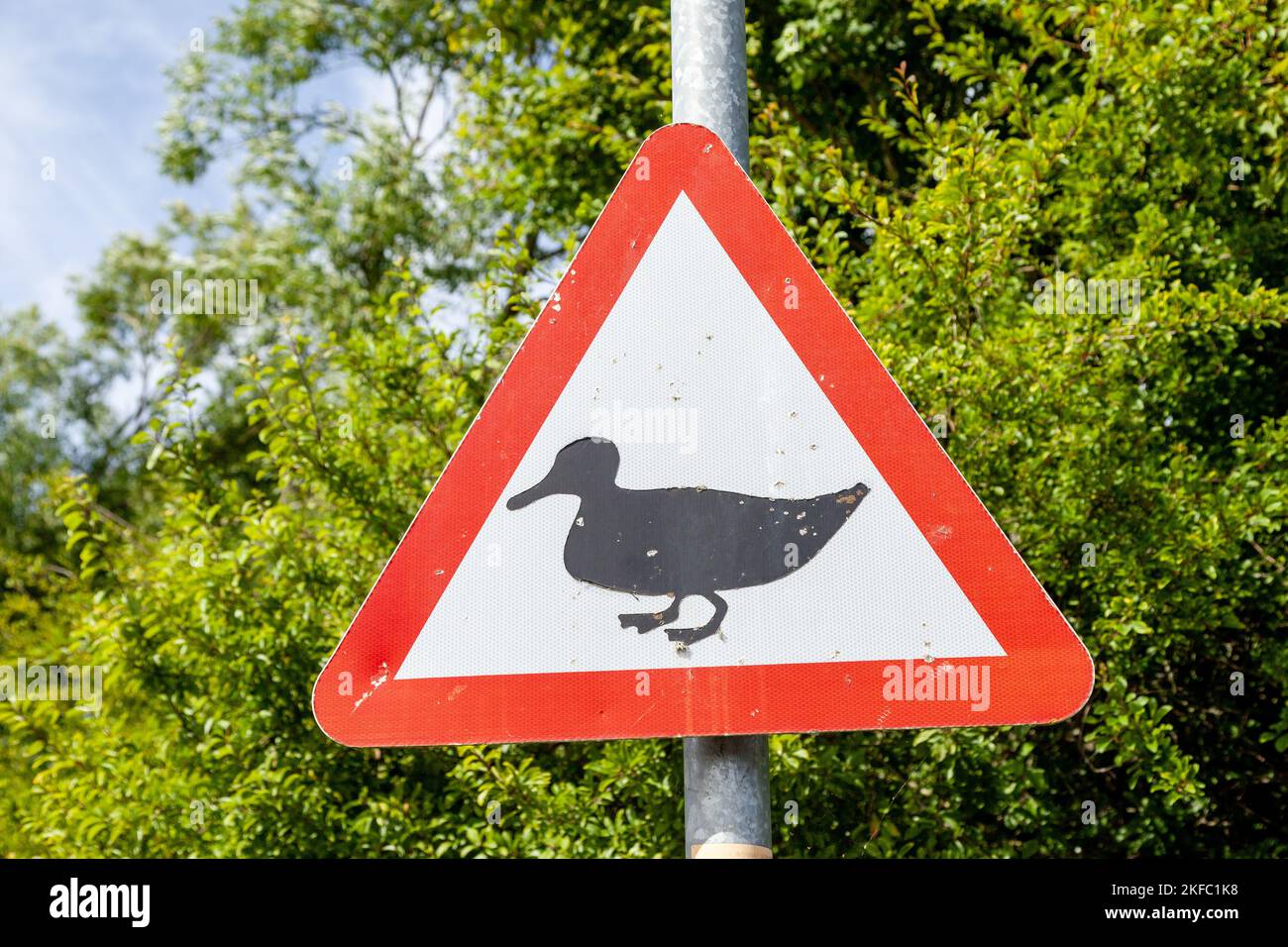 duck crossing road sign Stock Photo