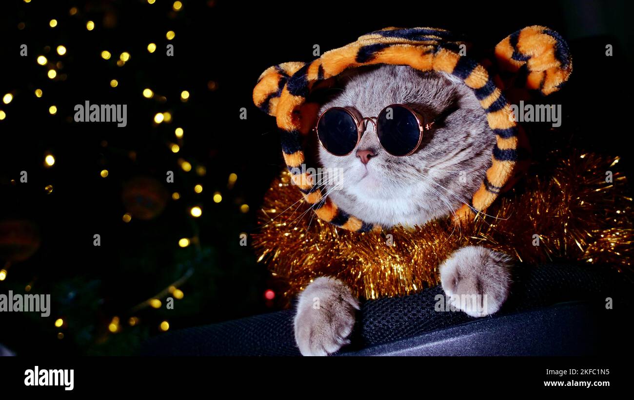 Amtiger sunglasses deals