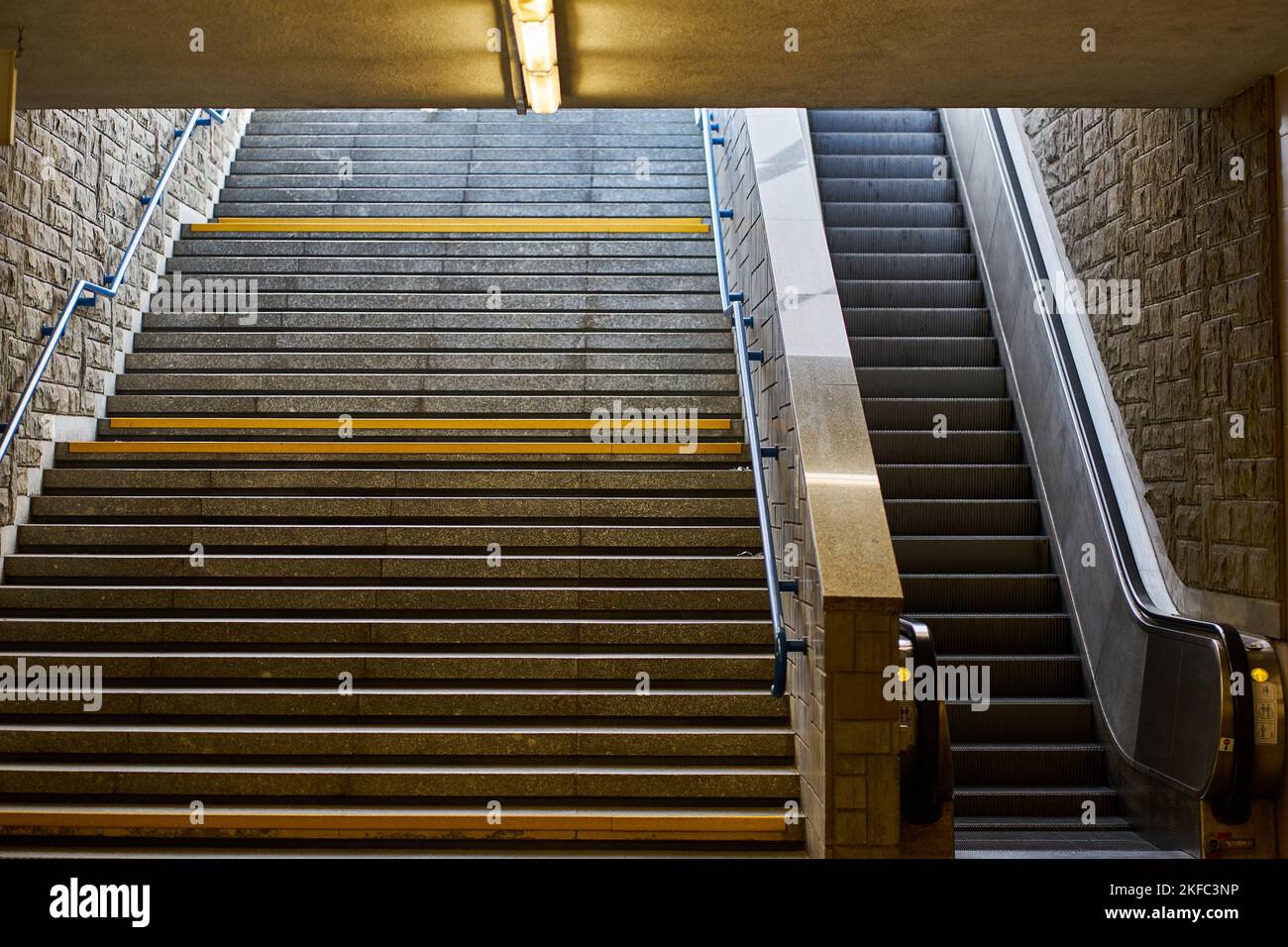 Indoor landscape, shopping escalator and glass roof of modern shopping mall  in Vientiane City, Zhengzhou, Henan Province Stock Photo - Alamy