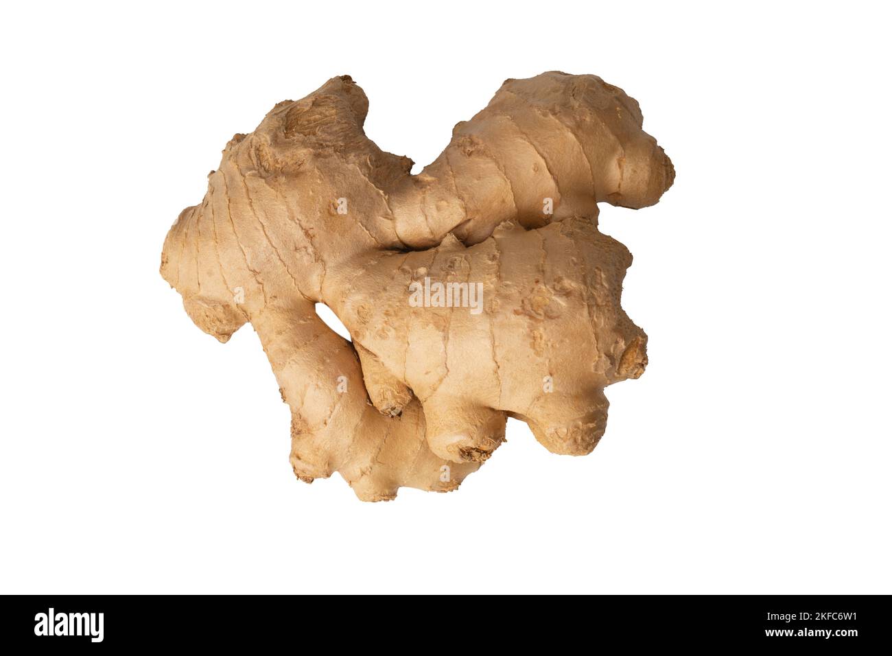 Ginger root isolated on a white background. Stock Photo