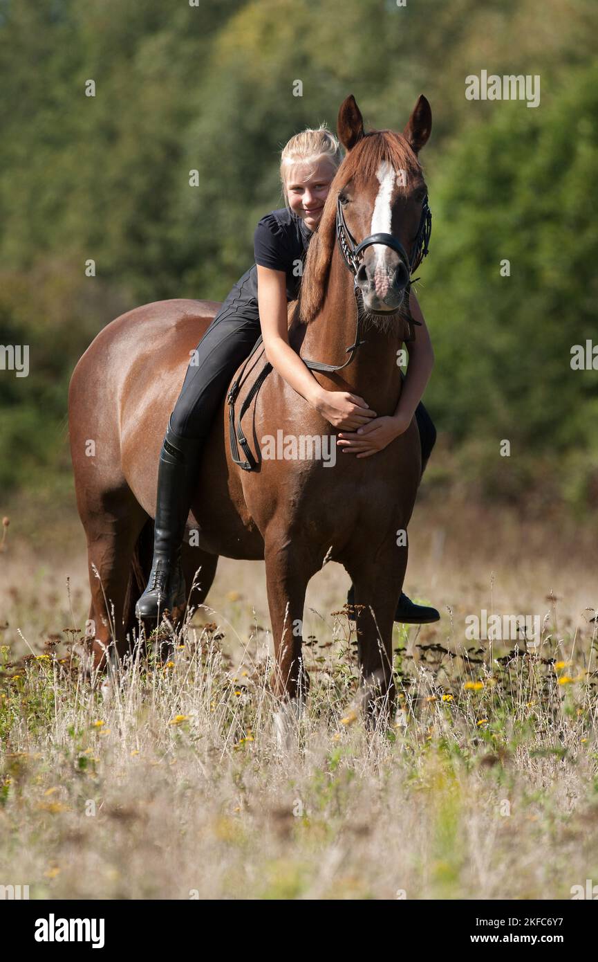 German Riding Pony with woman Stock Photo Alamy