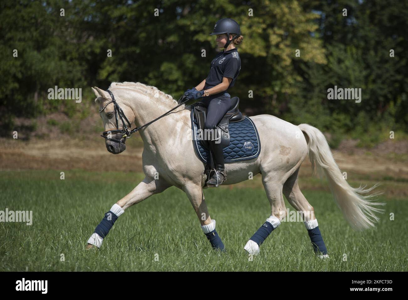 girl rides German Riding Pony Stock Photo - Alamy
