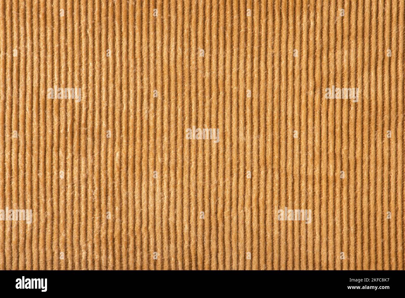 Texture of ribbed velvet. Texture of velvet fabric in light brown color with vertical stripes. Stock Photo