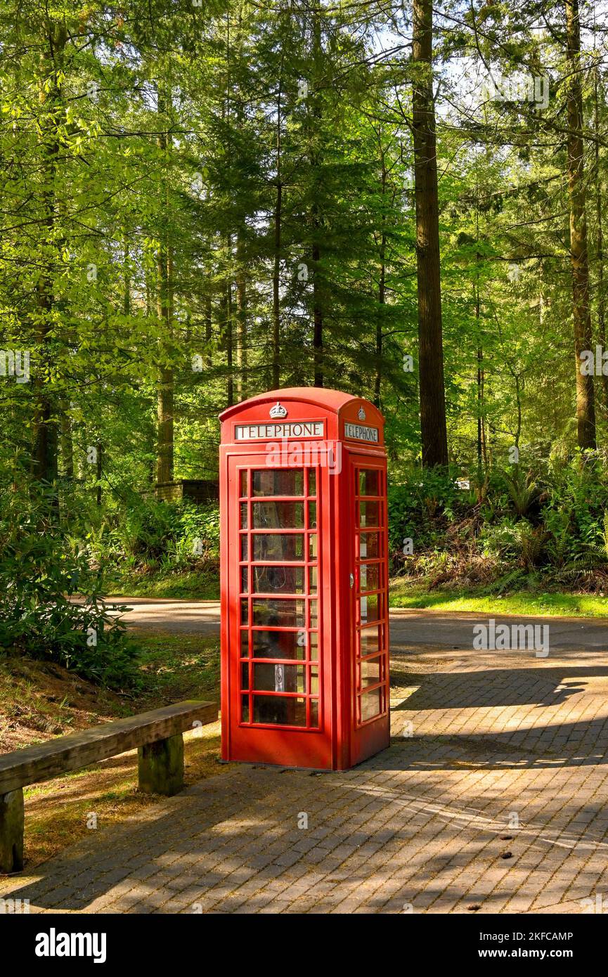 Warminster, England - May 2022: Vintage red Post Office telephone box in a wooded area. No people. Stock Photo