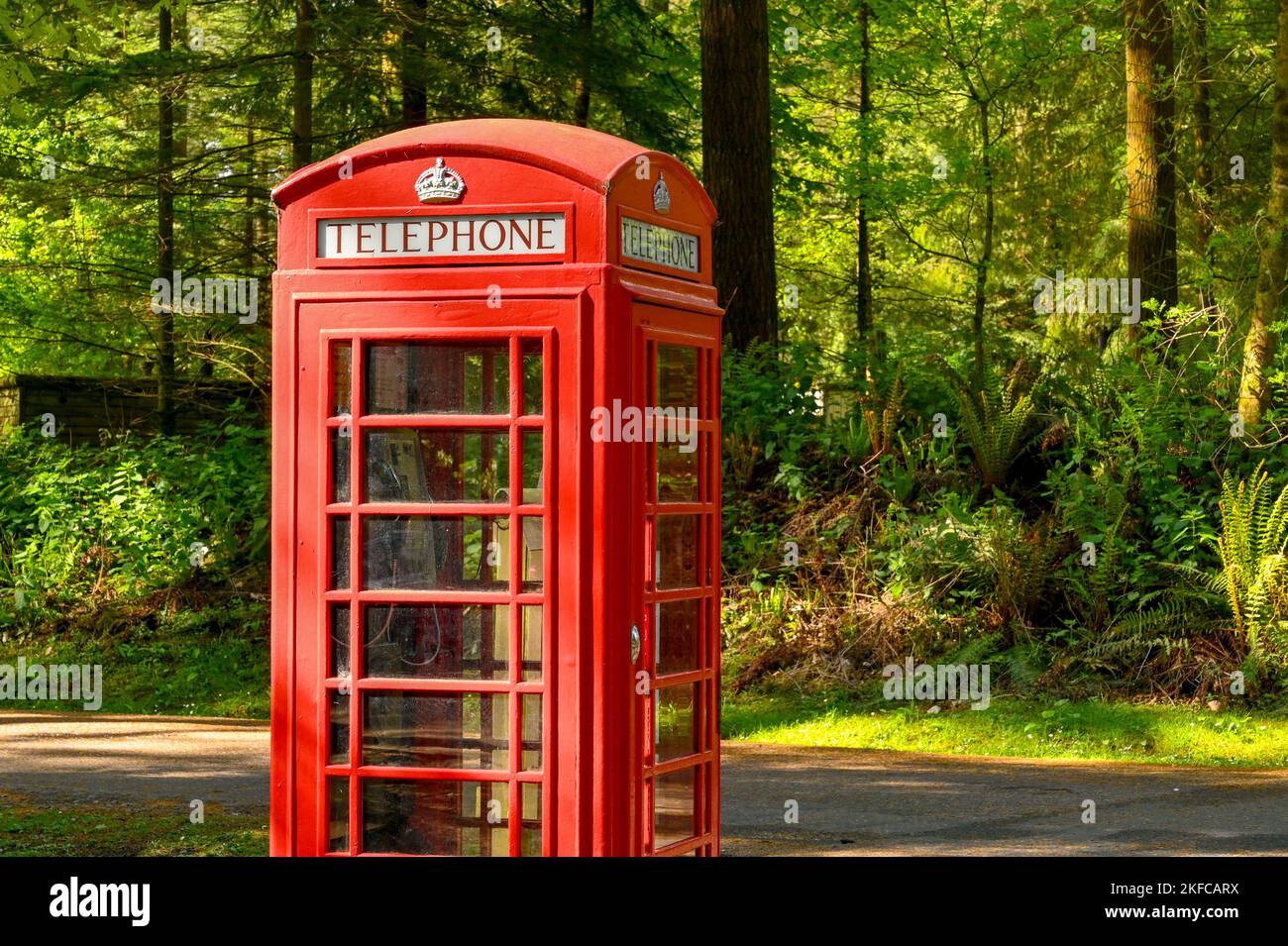 Warminster, England - May 2022: Vintage red Post Office telephone box in a wooded area. No people. Stock Photo