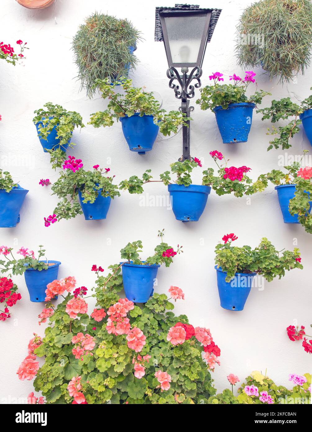 Geraniums in blue flower pots Granada, Andalucia, Spain Stock Photo
