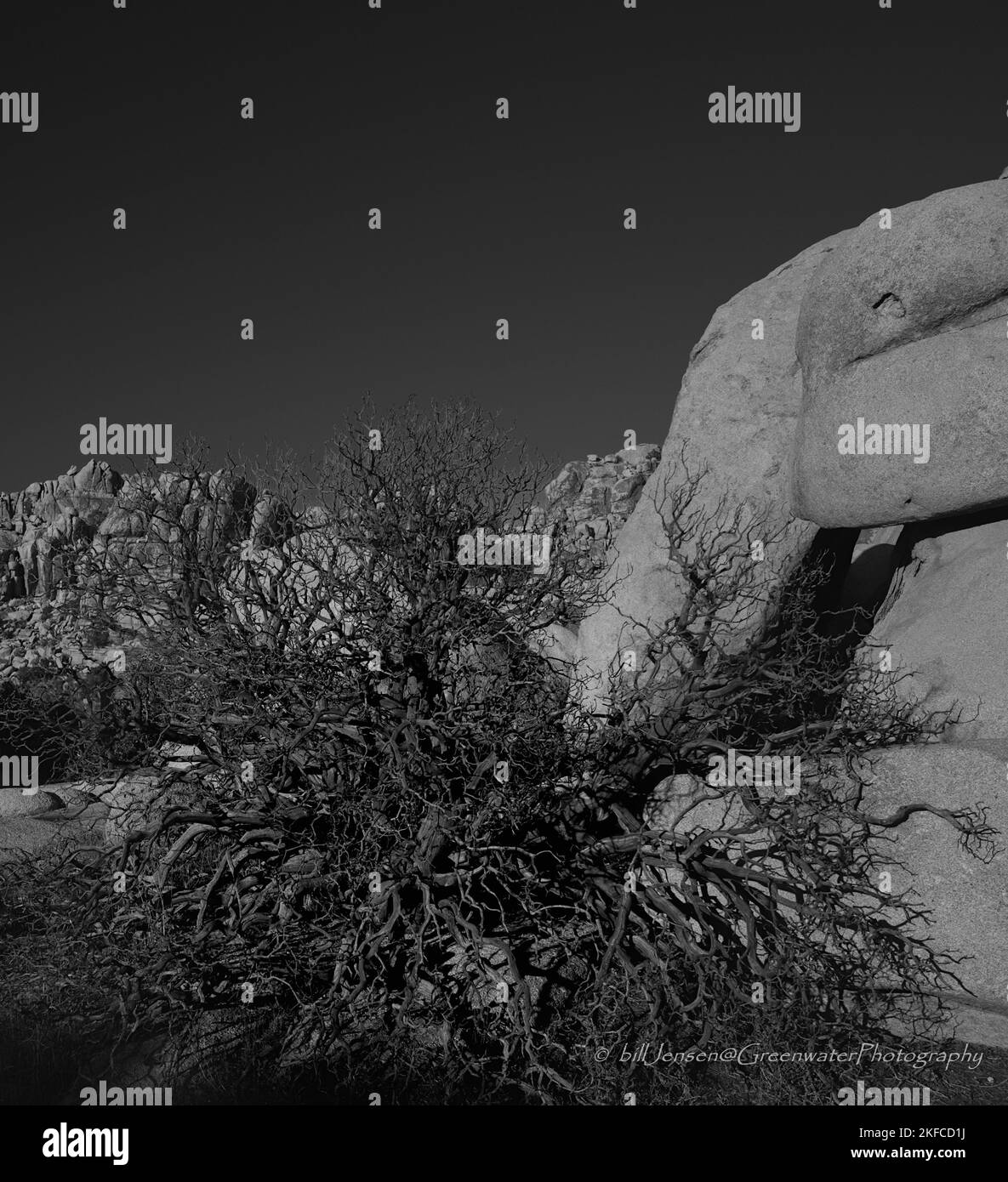 Joshua Tree National Park Stock Photo
