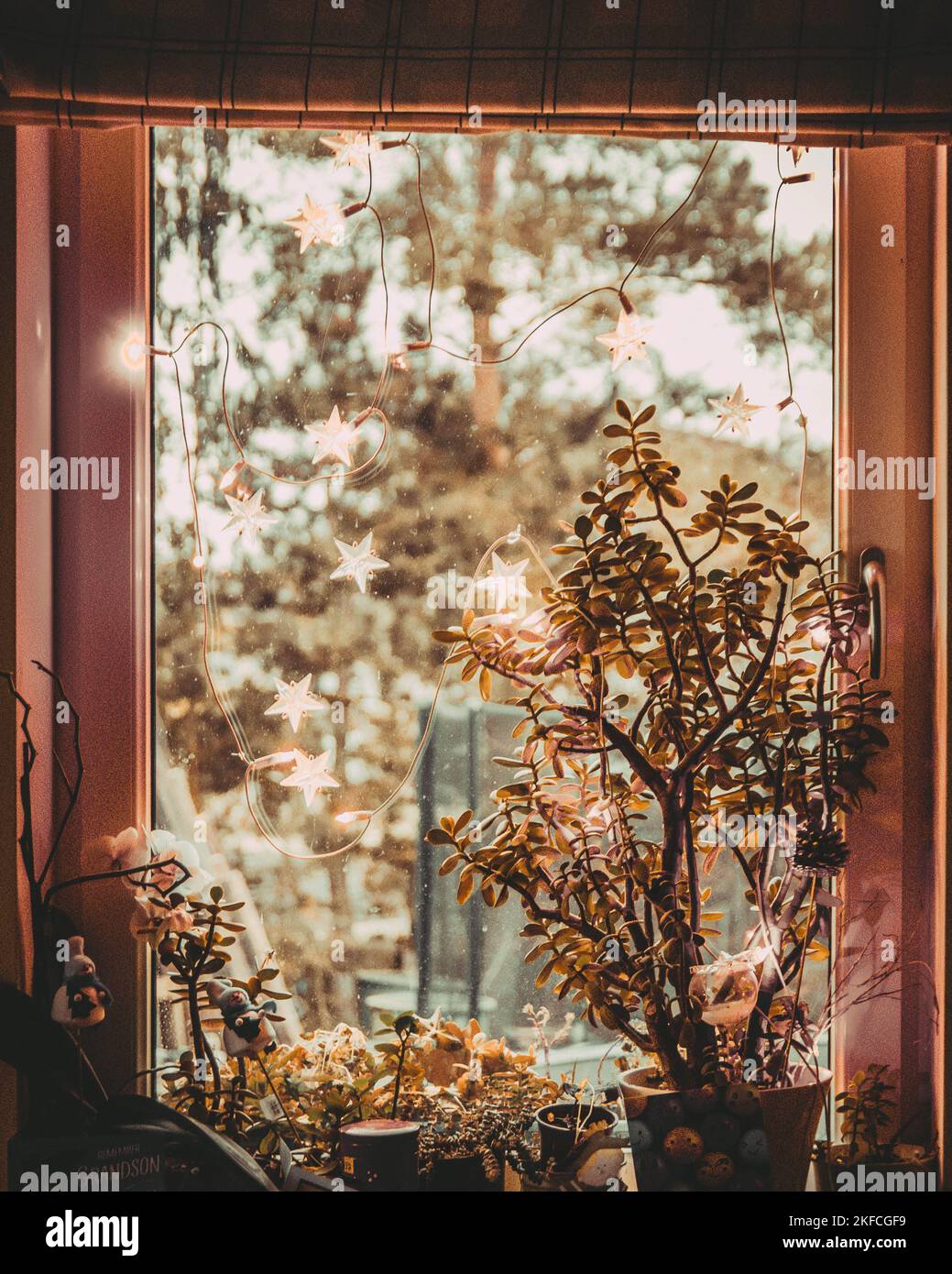 Beautiful decorated window hi-res stock photography and images - Alamy