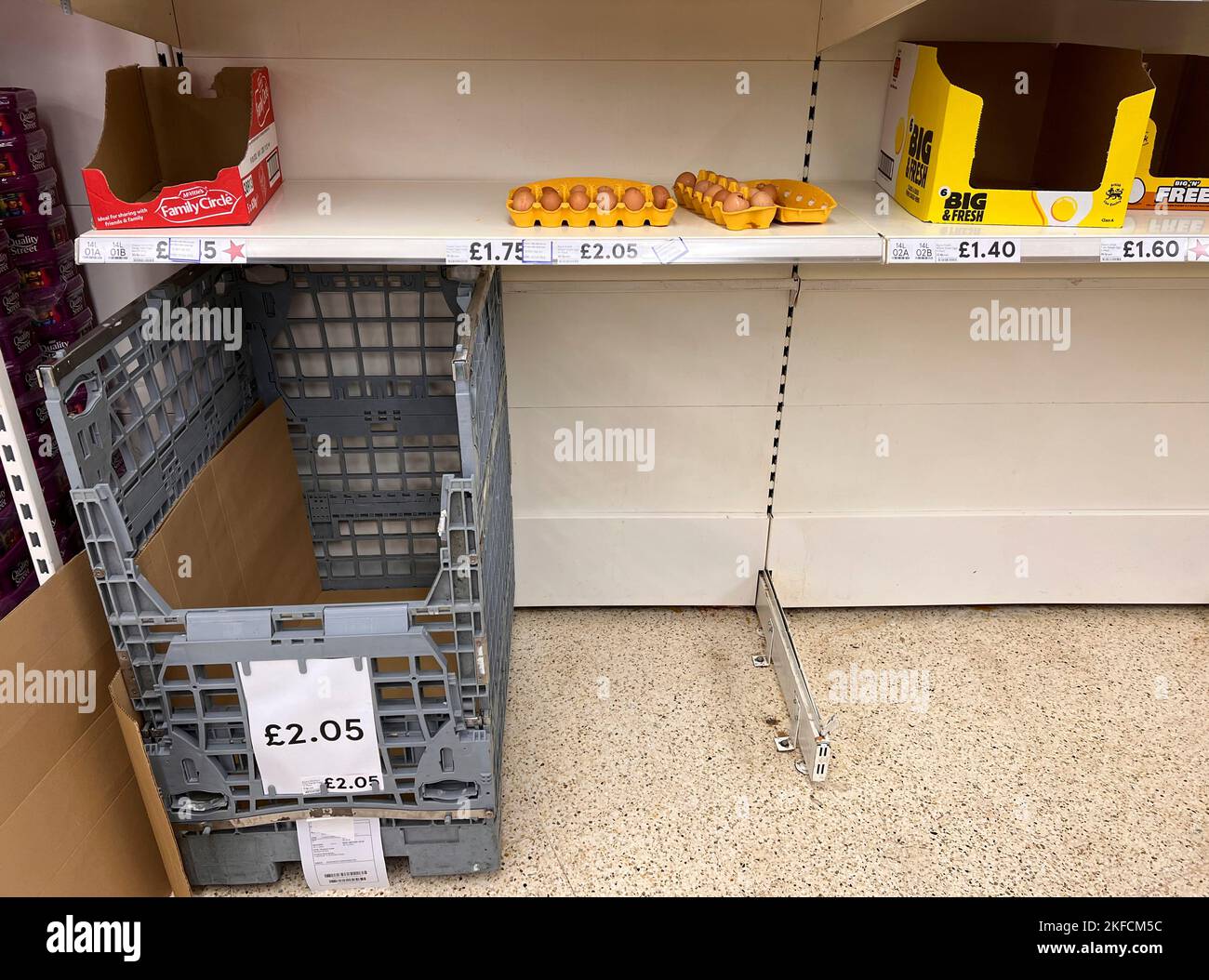 EGG SHORTAGE © Jeff Moore Egg shortage in Tesco in Leytonstone, London Stock Photo