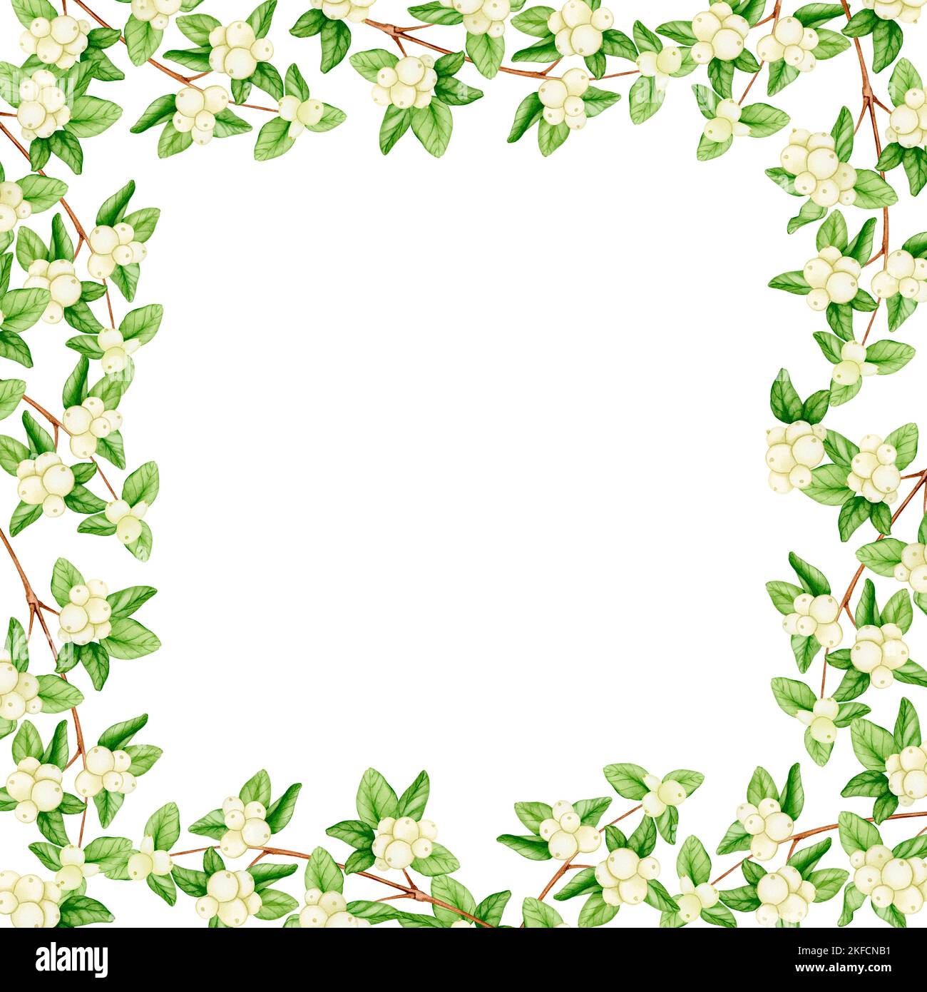 Border, square frame of branches with white berries. Watercolor illustration for Christmas, New