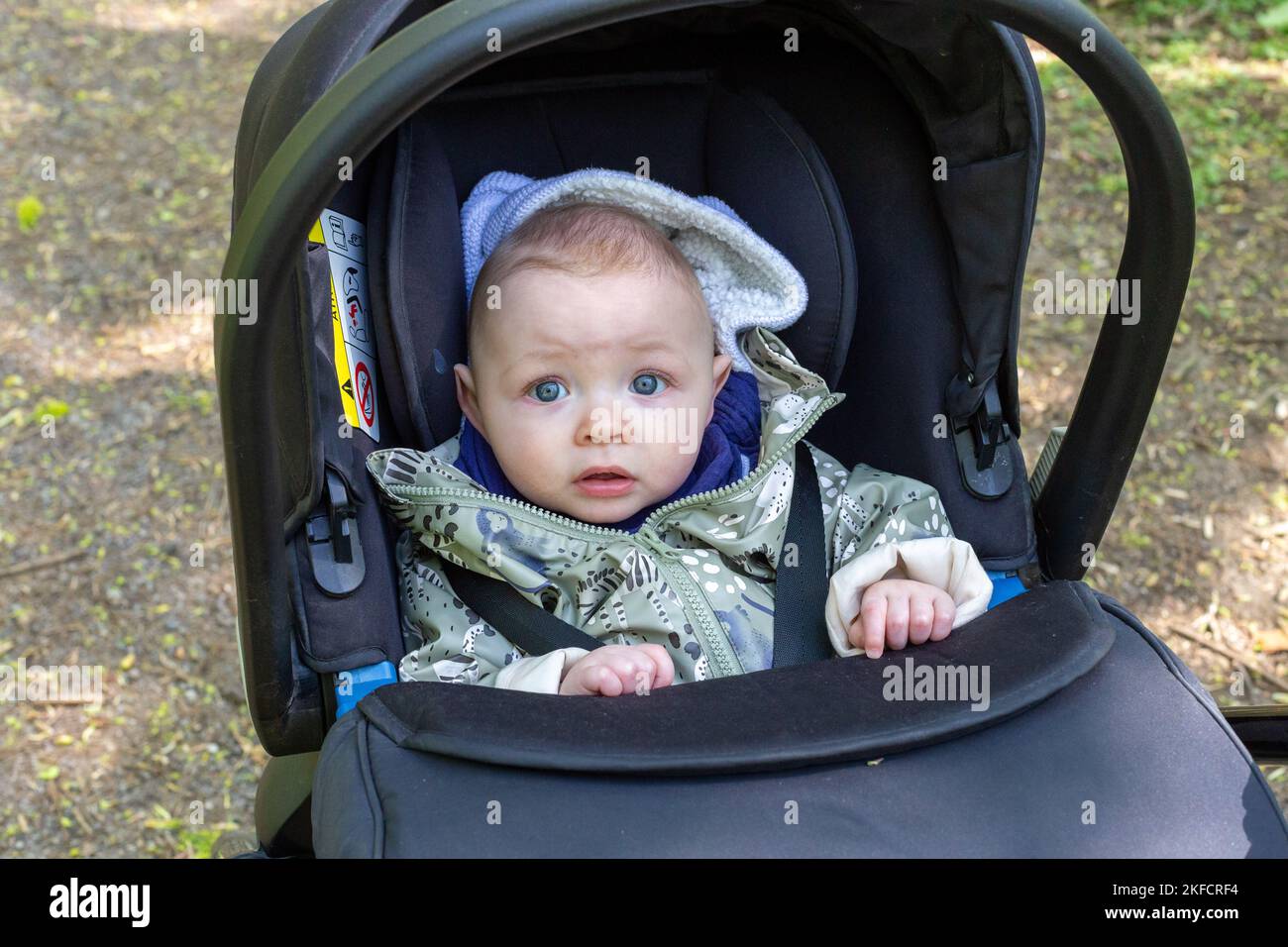 Baby in pushchair Stock Photo Alamy