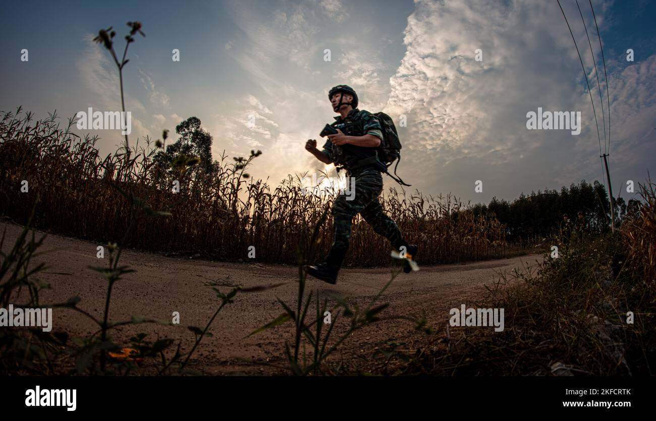 Hidden targets hi-res stock photography and images - Alamy