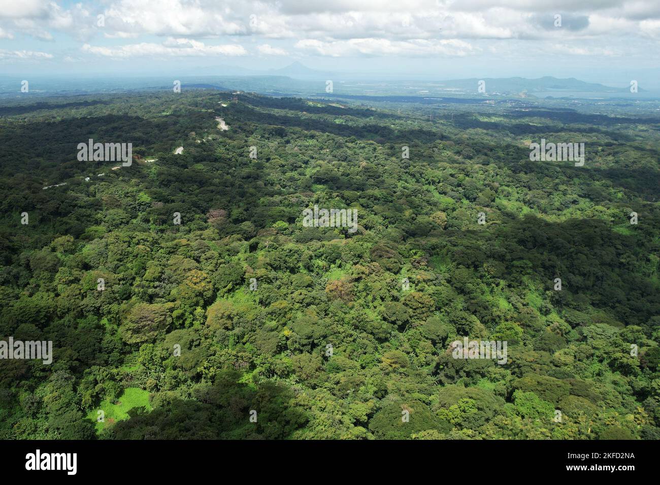 Central america nature background aerial drone view Stock Photo - Alamy
