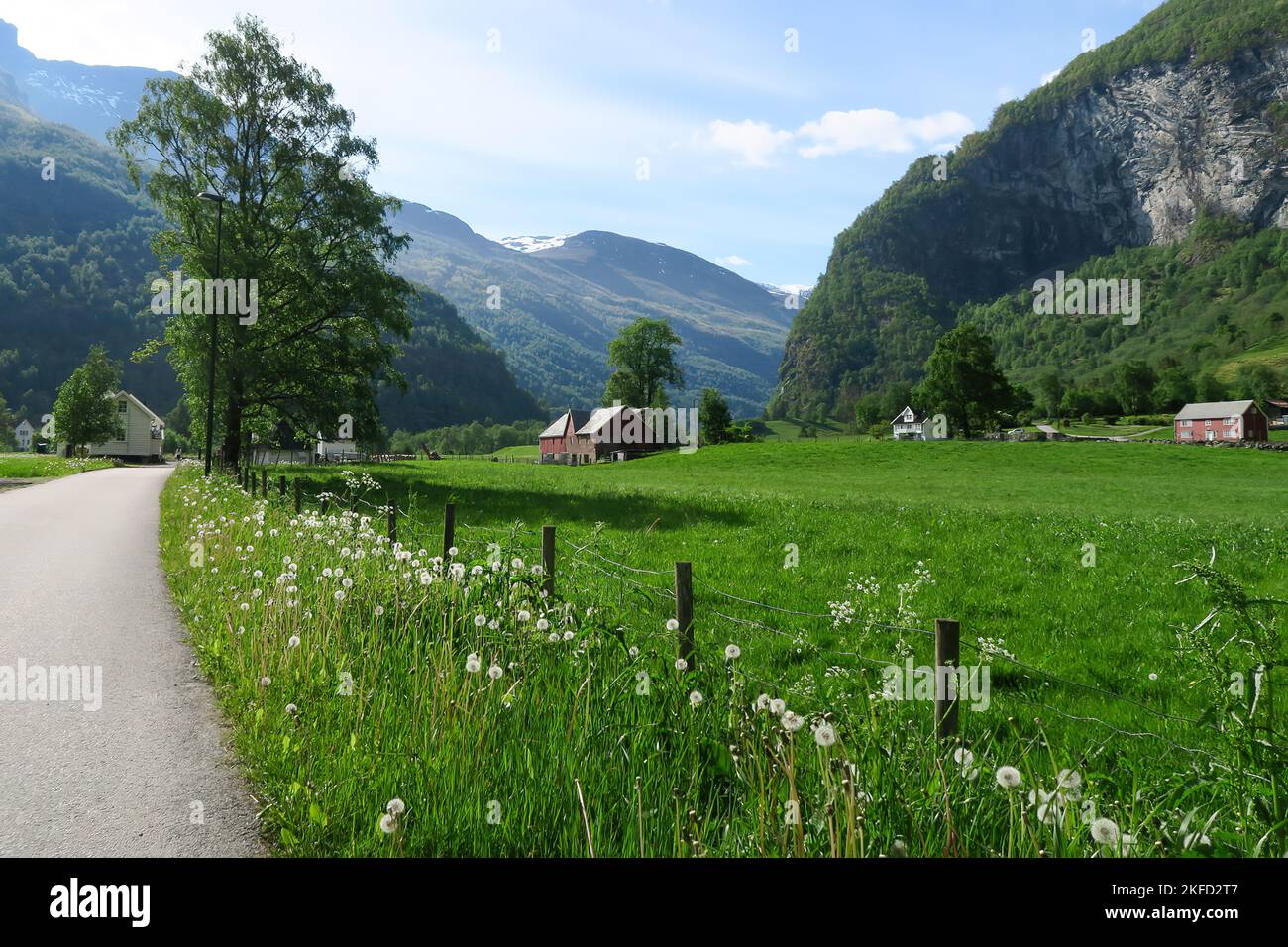 The Brekke Gard Hostel near a road in a green field in mountains of Flam, Norway Stock Photo