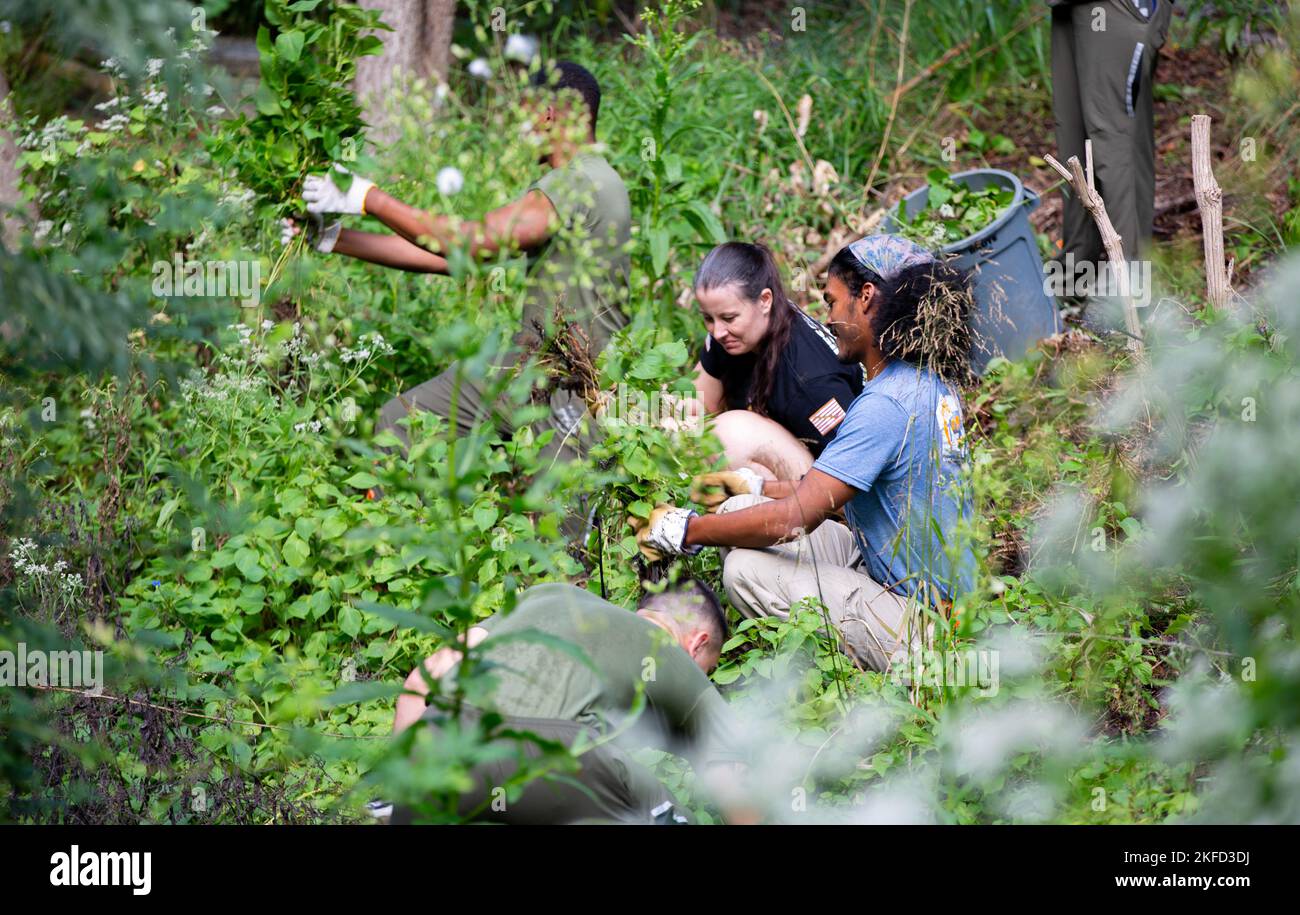 Maryland Zoo horticulturist Isaiah McBryde and Navy Chief Dana Alexander dispose of an invasive vegetation as part of a community relations event during Maryland Fleet Week & Flyover Baltimore, Sept. 8, 2022. Fleet Week is an annual public event that provides the opportunity for the sea services to engage with each other and civilians. More than 2,300 services members are participating, engaging and assisting with ship tours, live bands and static equipment displays. Stock Photo