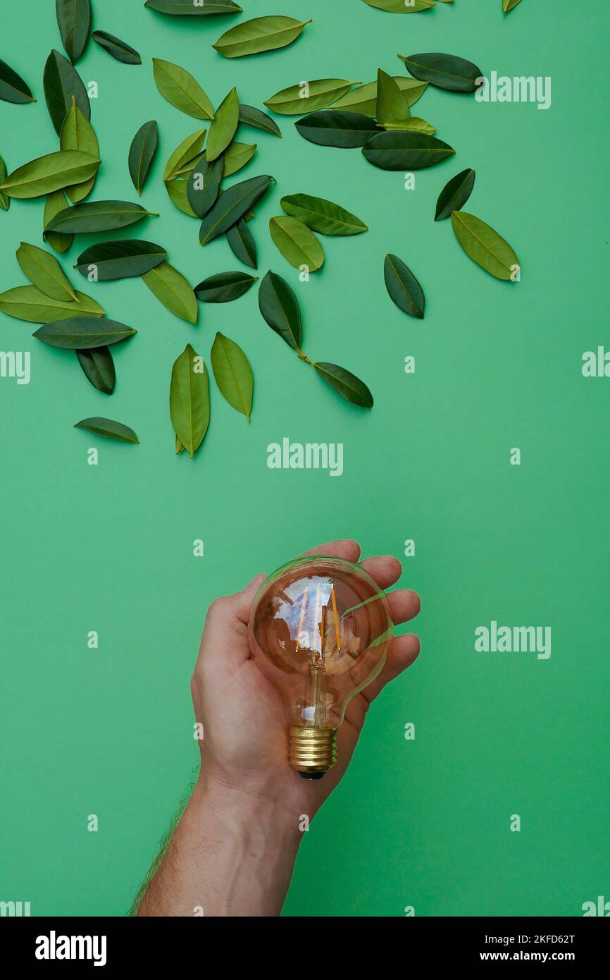 Green Energy Source. Electricity and green energy concept.Light bulb in a male hand and green leaves on a green background.Alternative natural energy Stock Photo