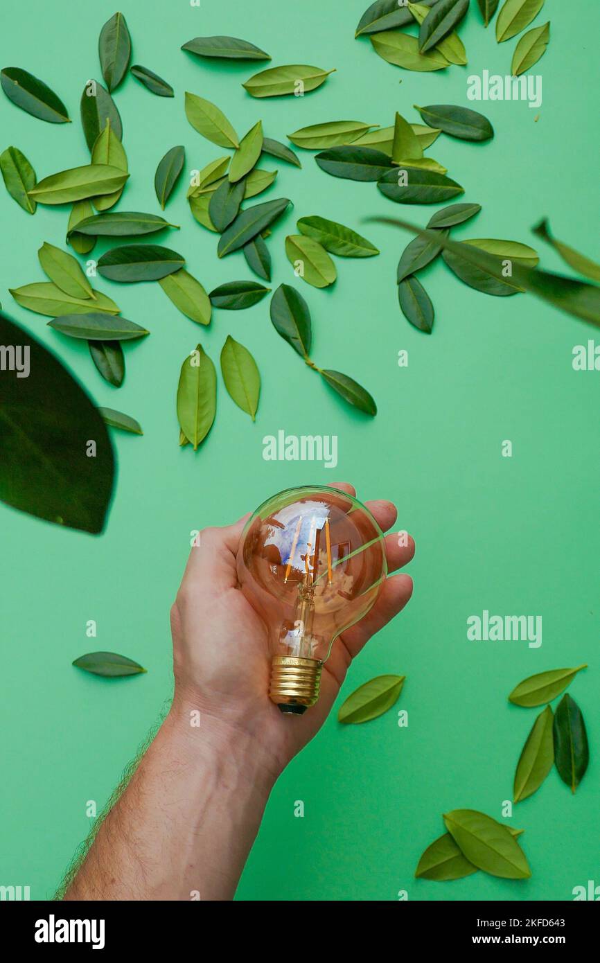 Green Energy Source. Electricity and green energy concept.Light bulb in a male hand and green leaves on a green background.Alternative natural energy Stock Photo