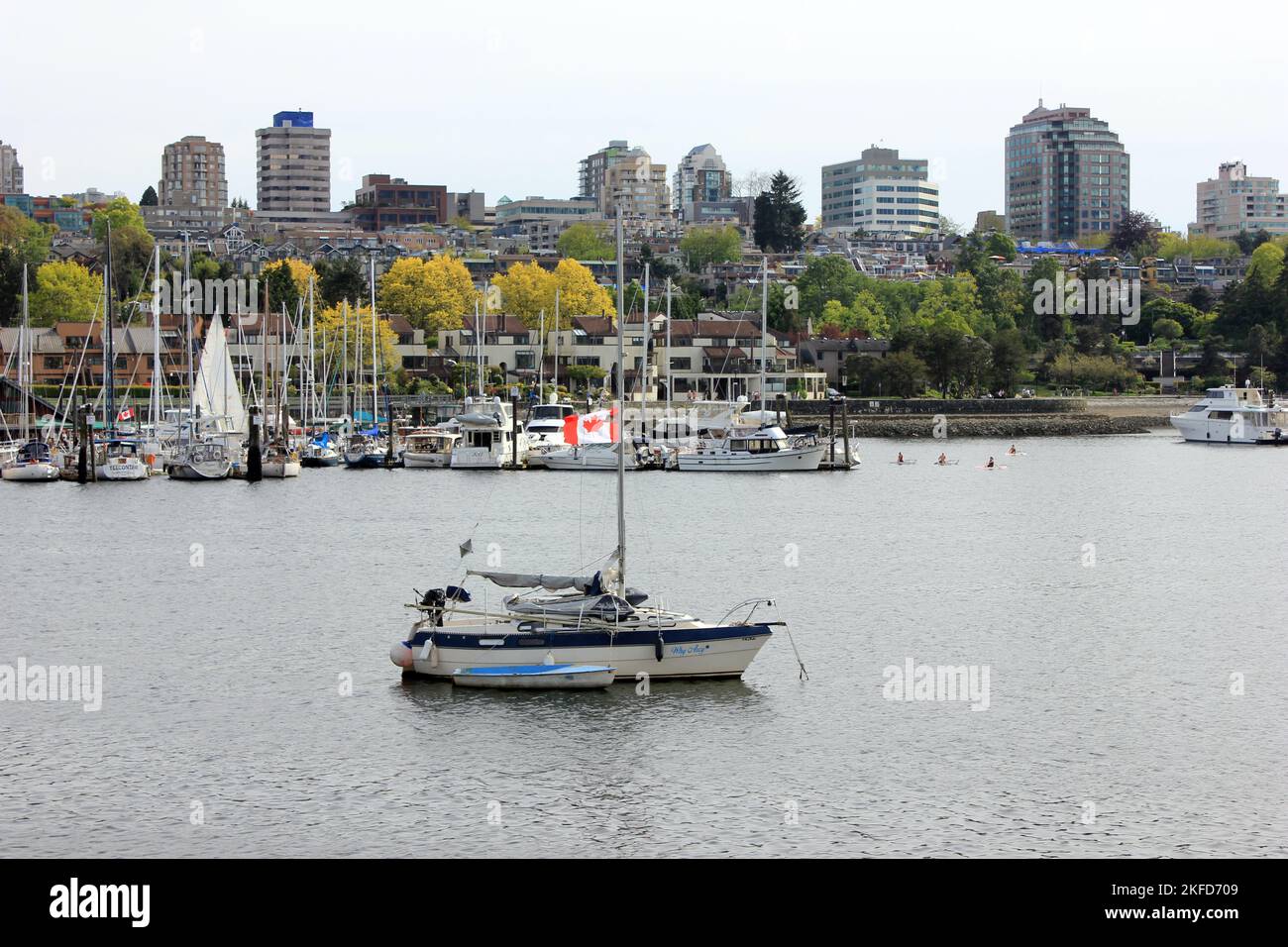 A beautiful shot of a sailing boat with a Canadian flag in False Creek lake in Vancouver, Canada Stock Photo