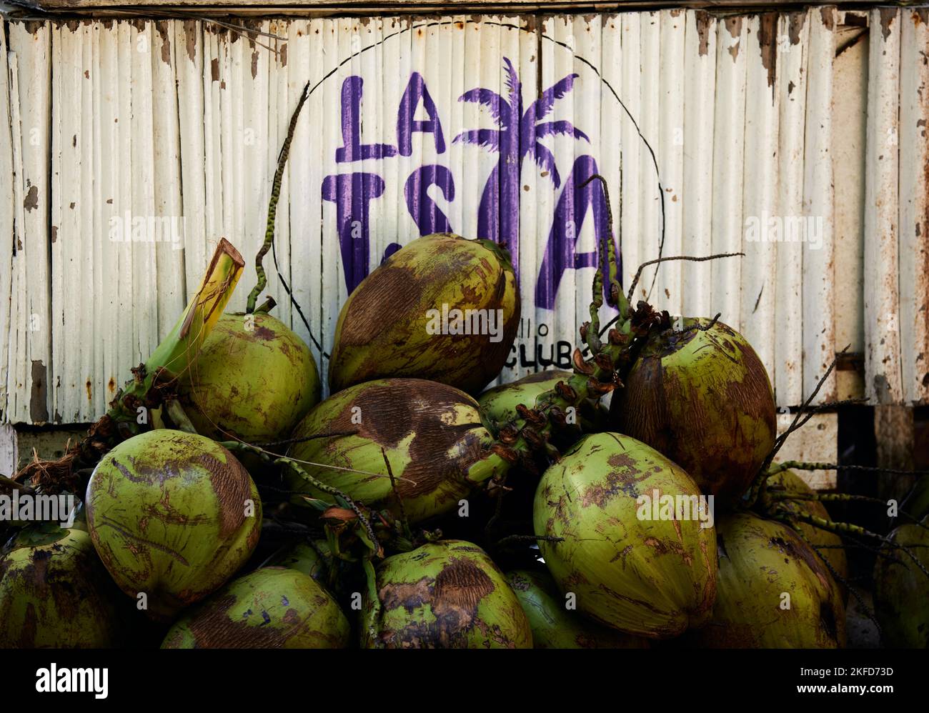 A closeup of empty coconuts on the beach in Puerto Escondido, Oaxaca, Mexico Stock Photo Alamy