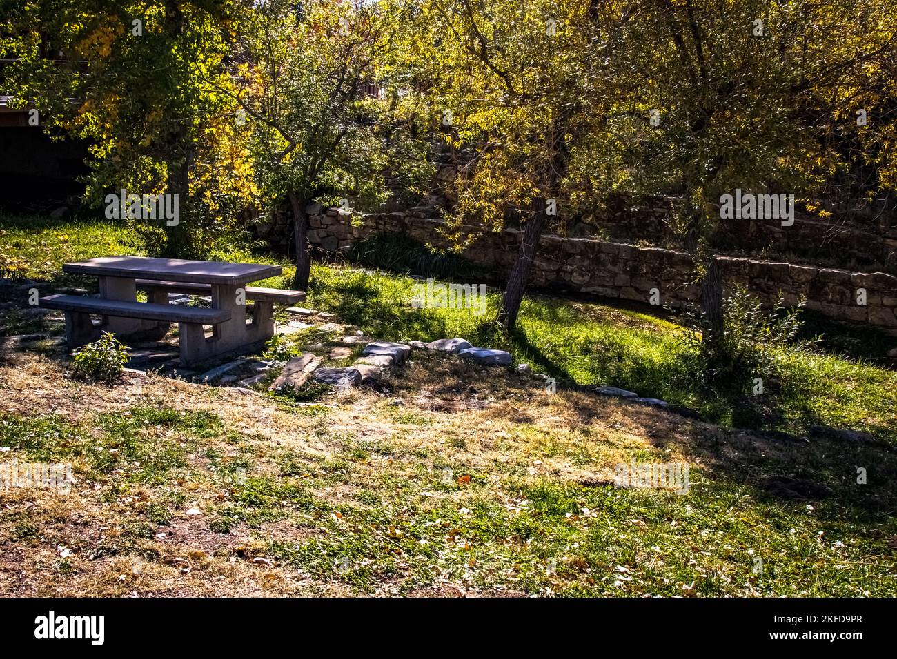 A picnic table in the woods, with a lawn, and autumn leaves Stock Photo ...