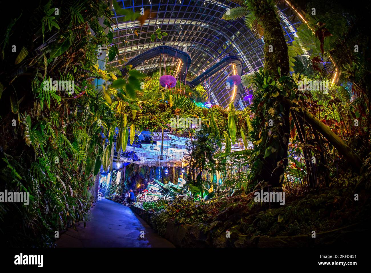 Avatar The Experience at Clouds Forest, Gardens by the bay, Singapore