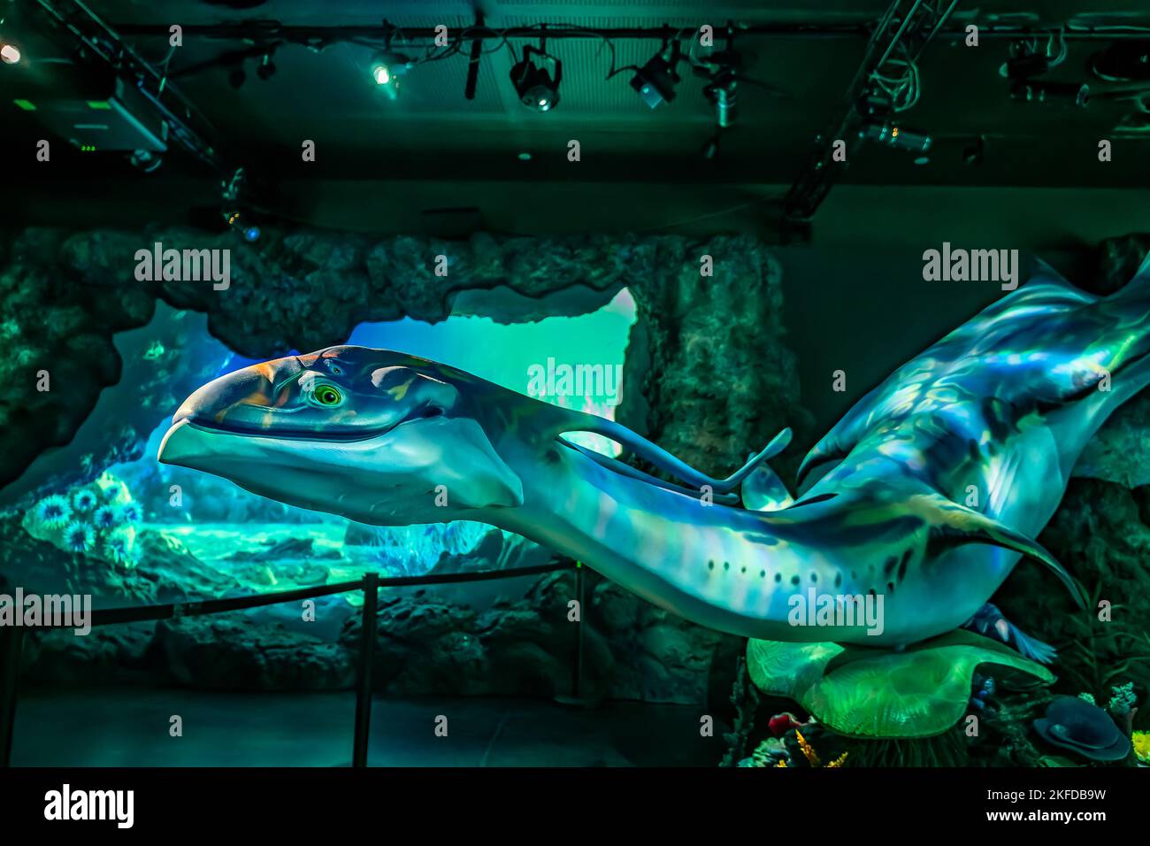 Avatar -The Experience at Clouds Forest, Gardens by the bay, Singapore. Stock Photo